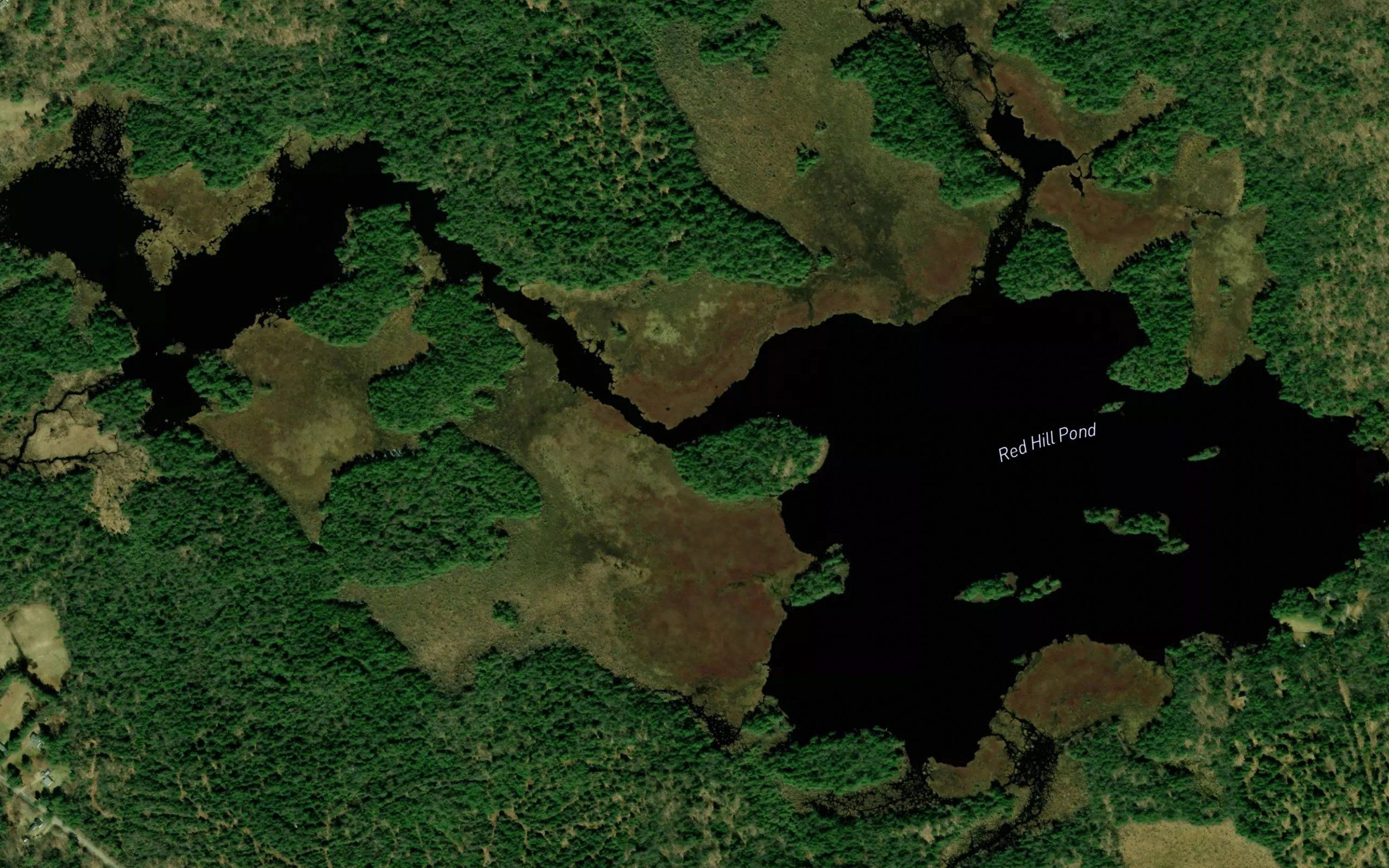 Red Hill Pond