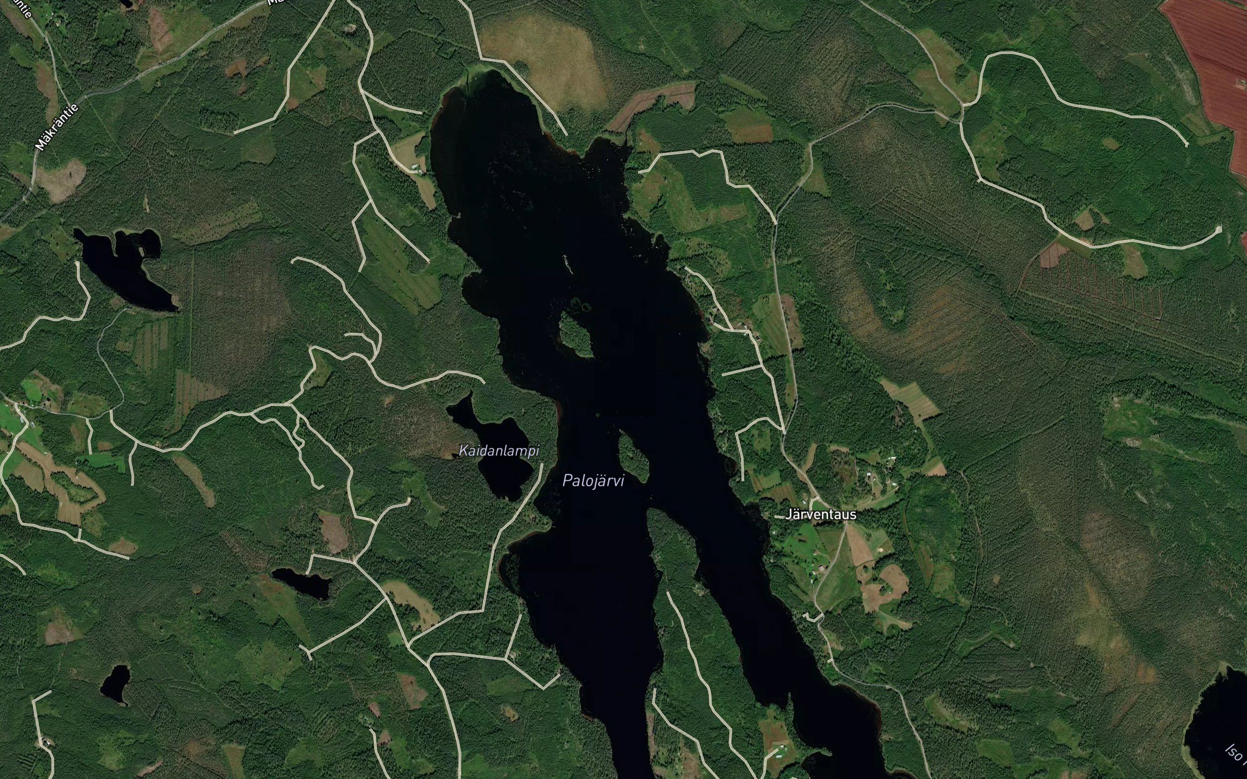 Palojarvi