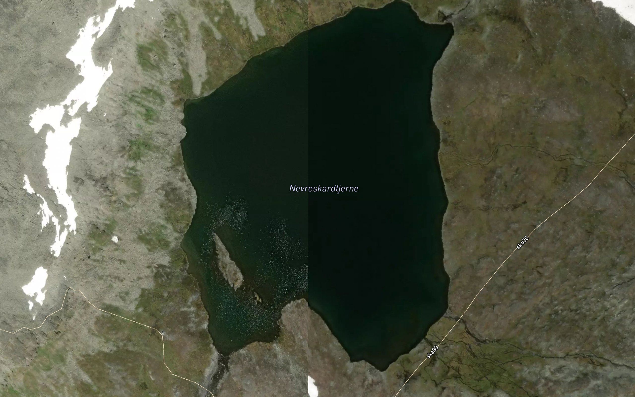 Nevreskardtjerni