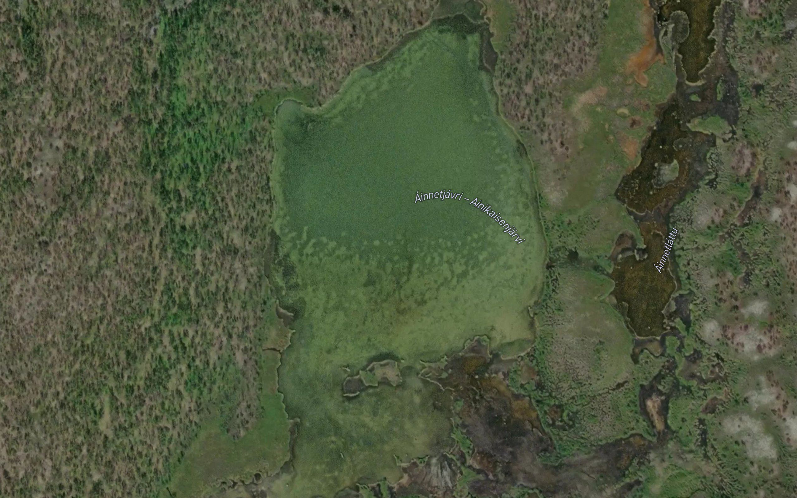 Ainetjavri