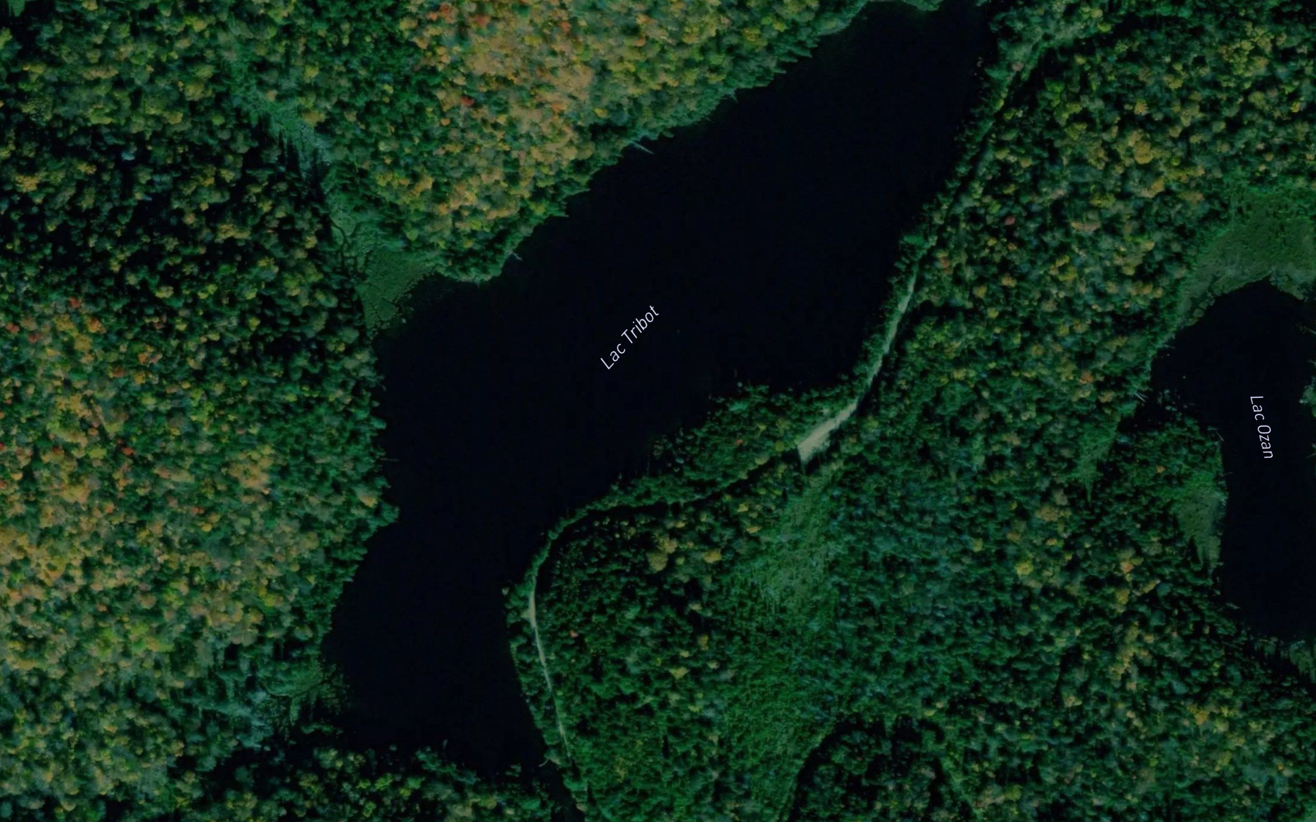 Lac Tribot