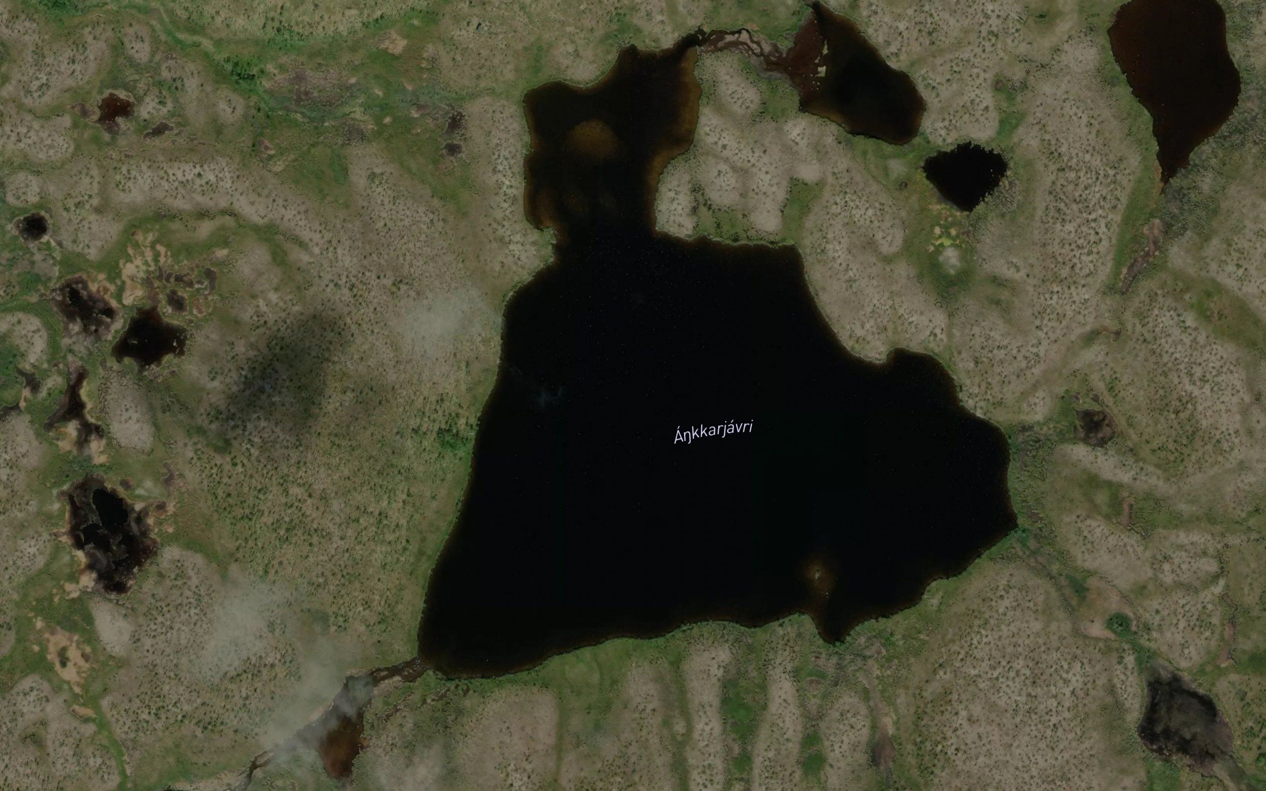 Ankarjavri