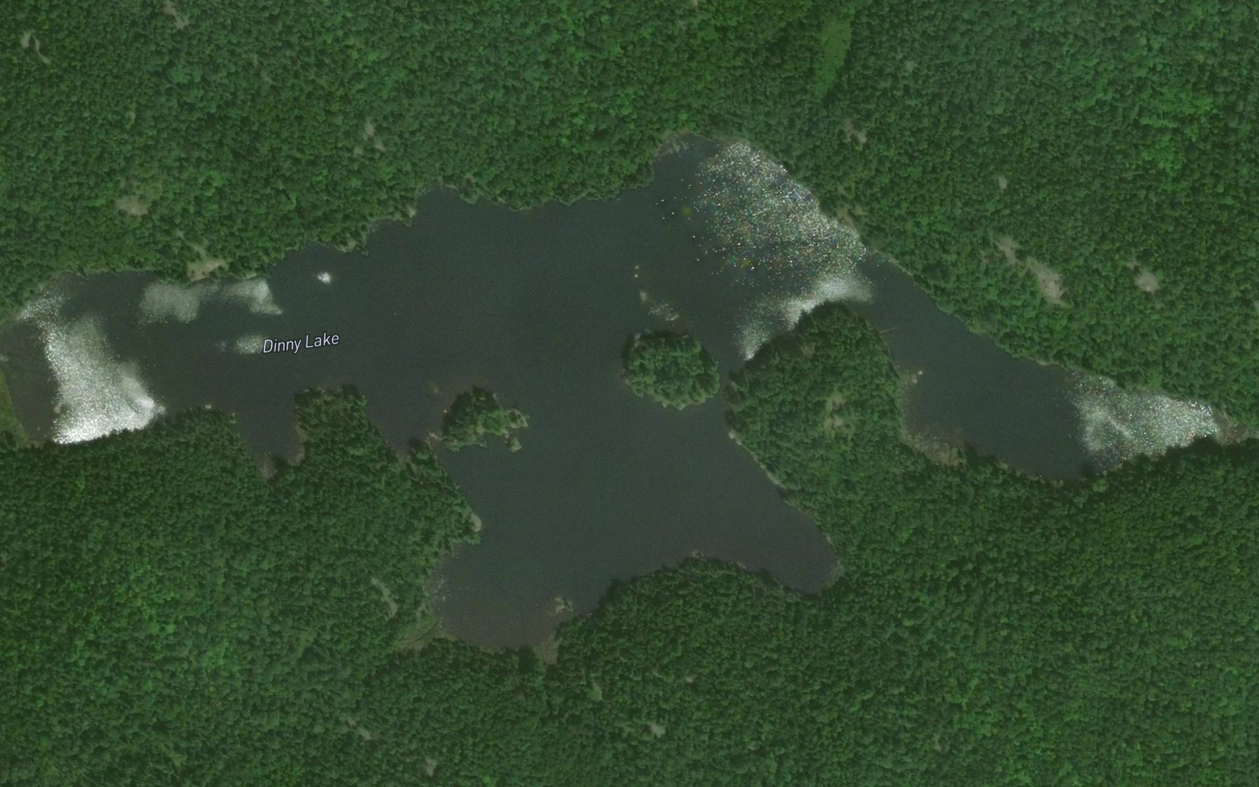 Satellite map of the Dinny Lake