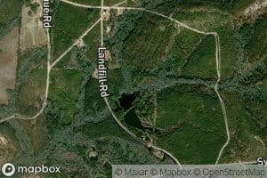 Swamp Branch