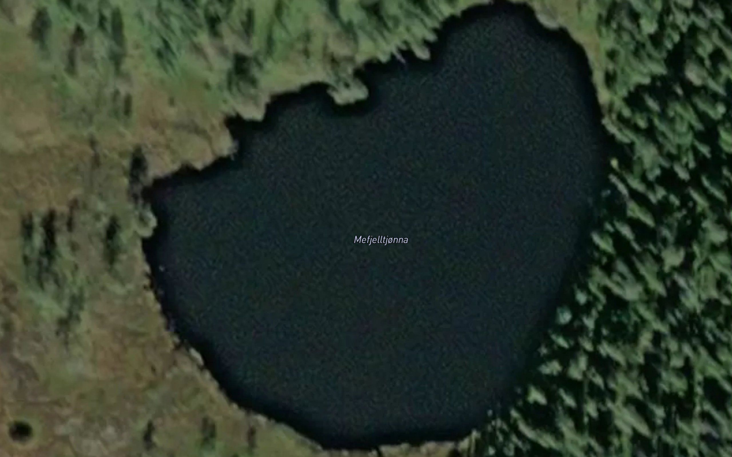 Mefjelltjorna