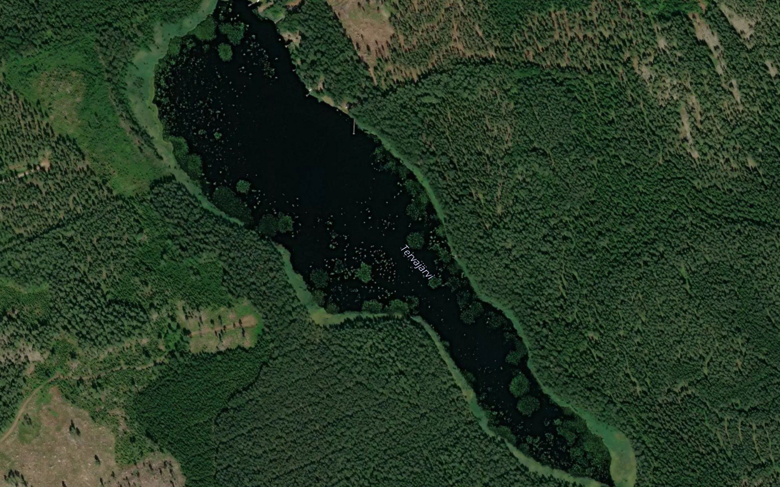 Tervajarvi