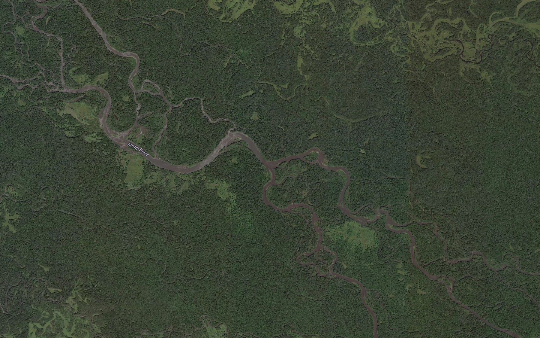 Satellite map of the Protoka Bol'shaya Suma