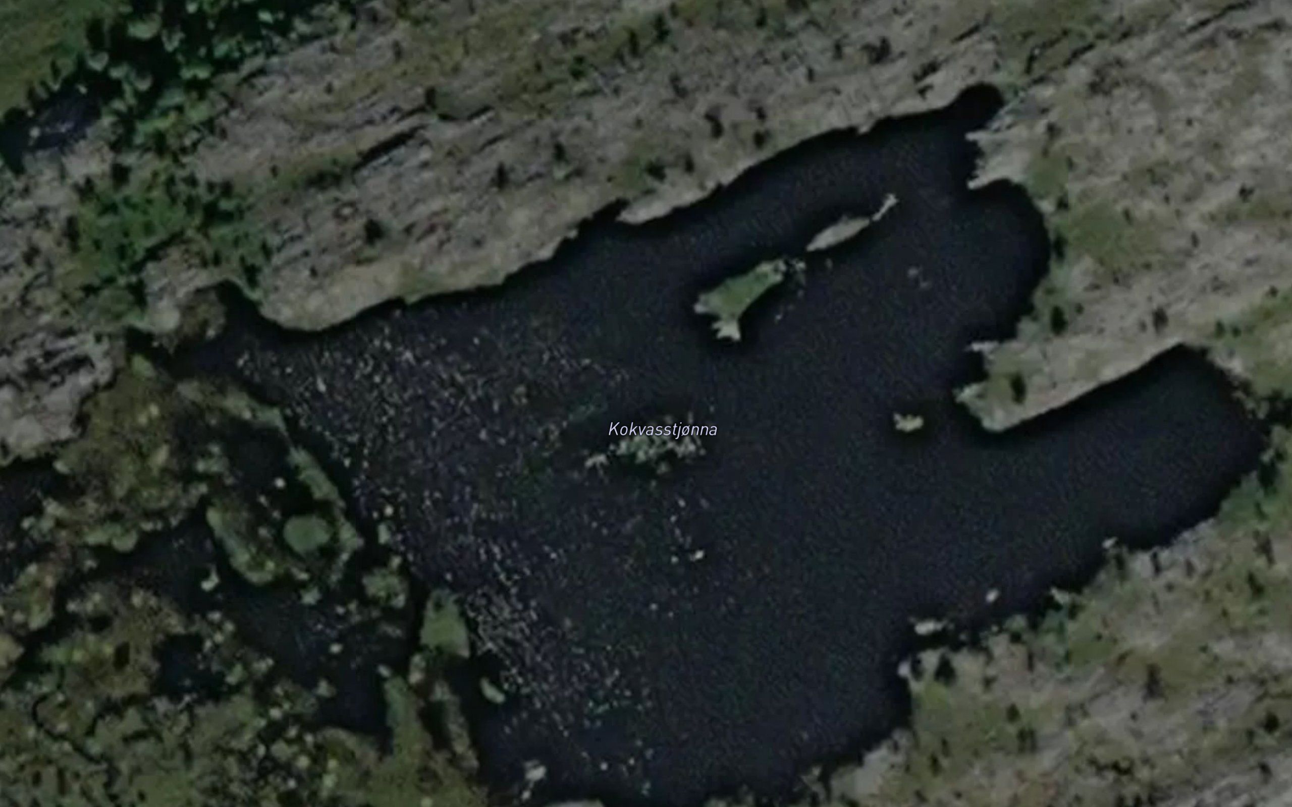 Kokvasstjorna