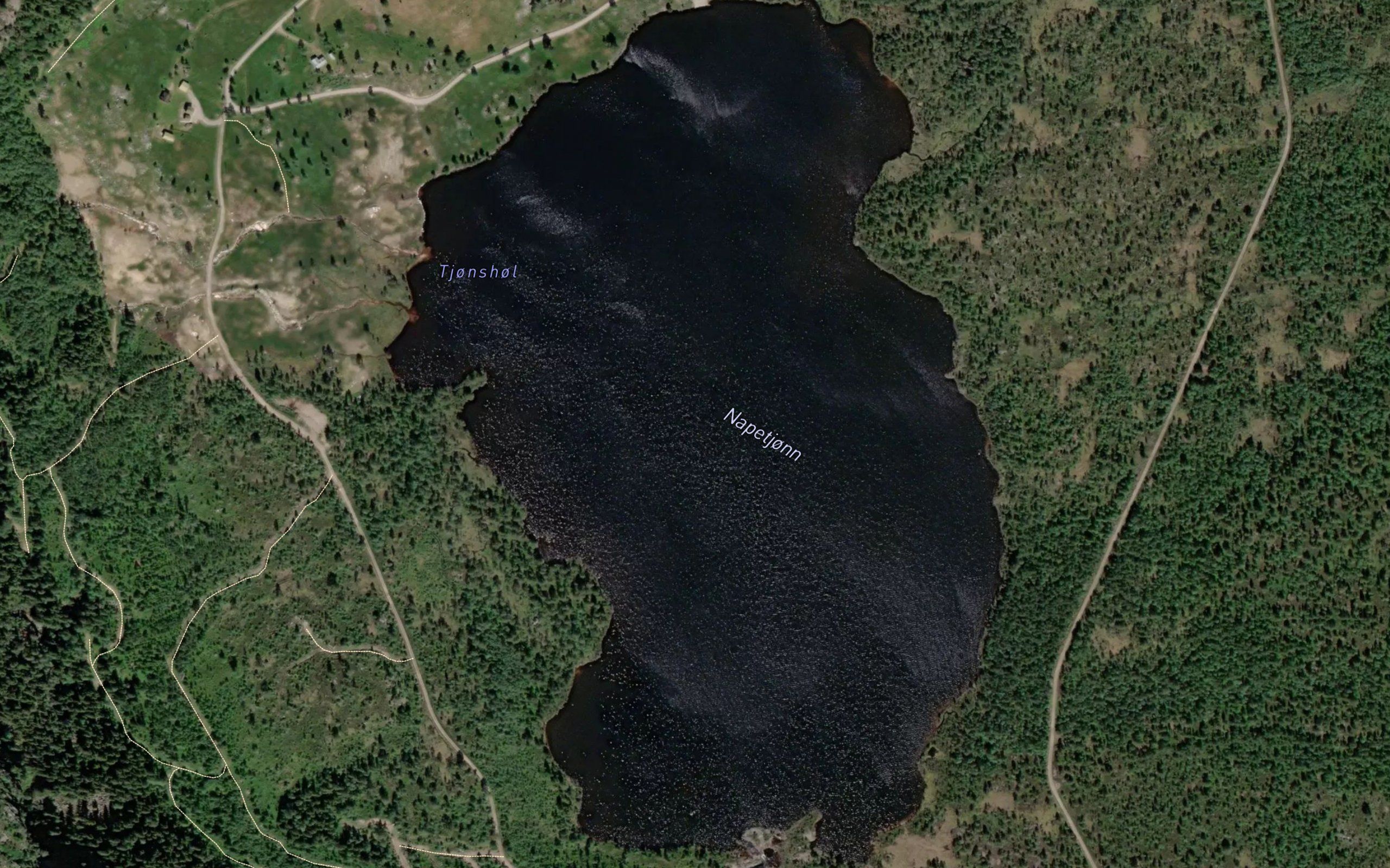 Napetjonn