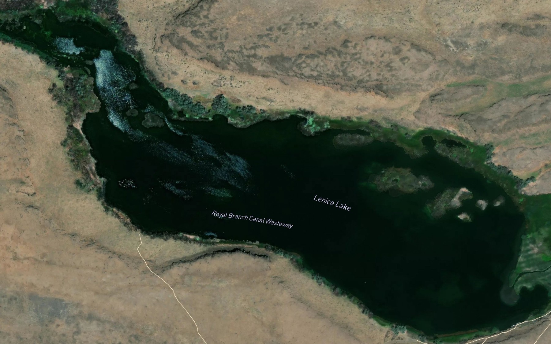 Satellite map of the Lenice Lake