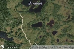 Elgtjednet