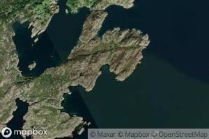 Jyvika