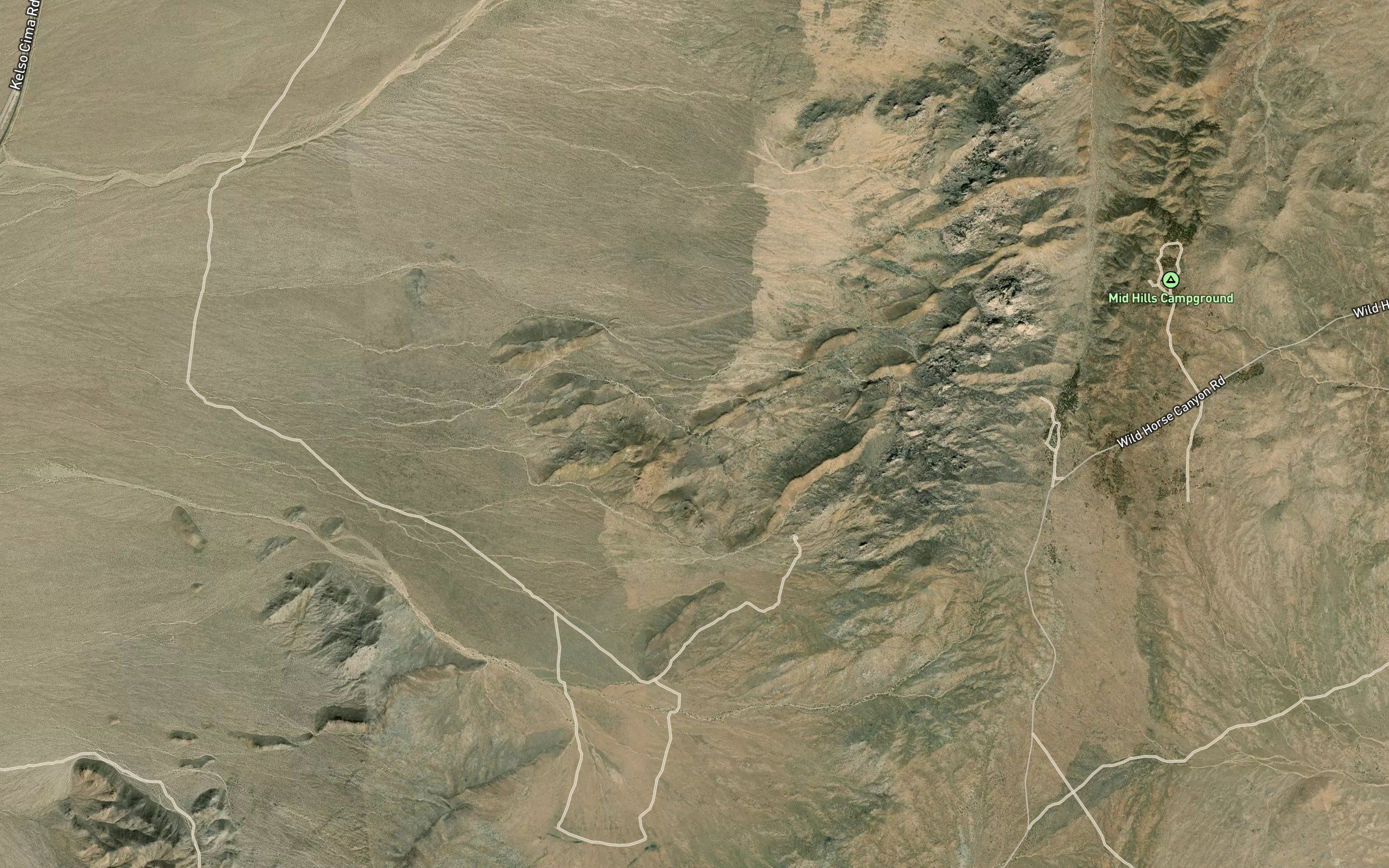 Coyote Spring