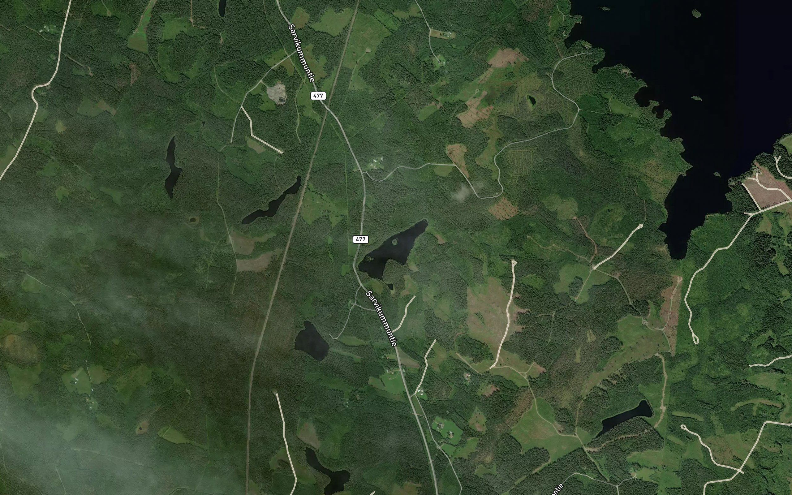 Saarilampi