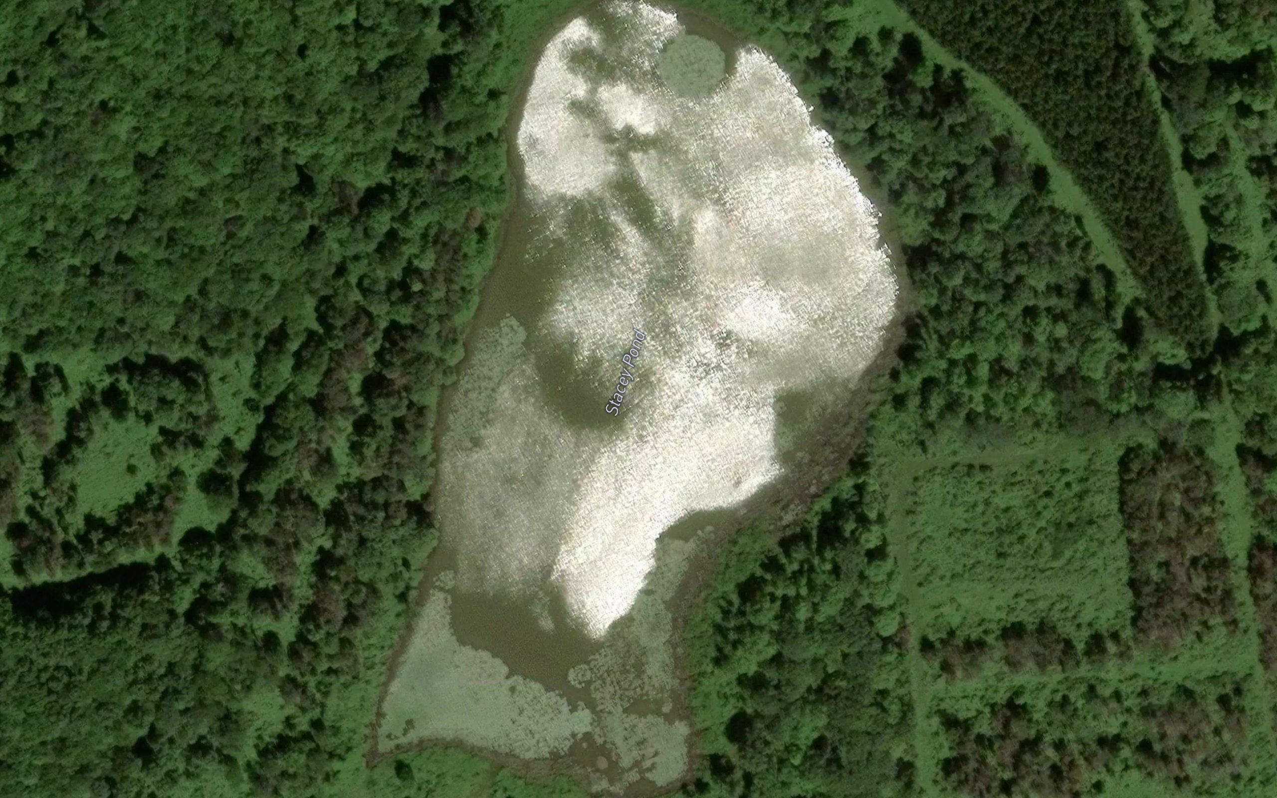 Stacey Pond