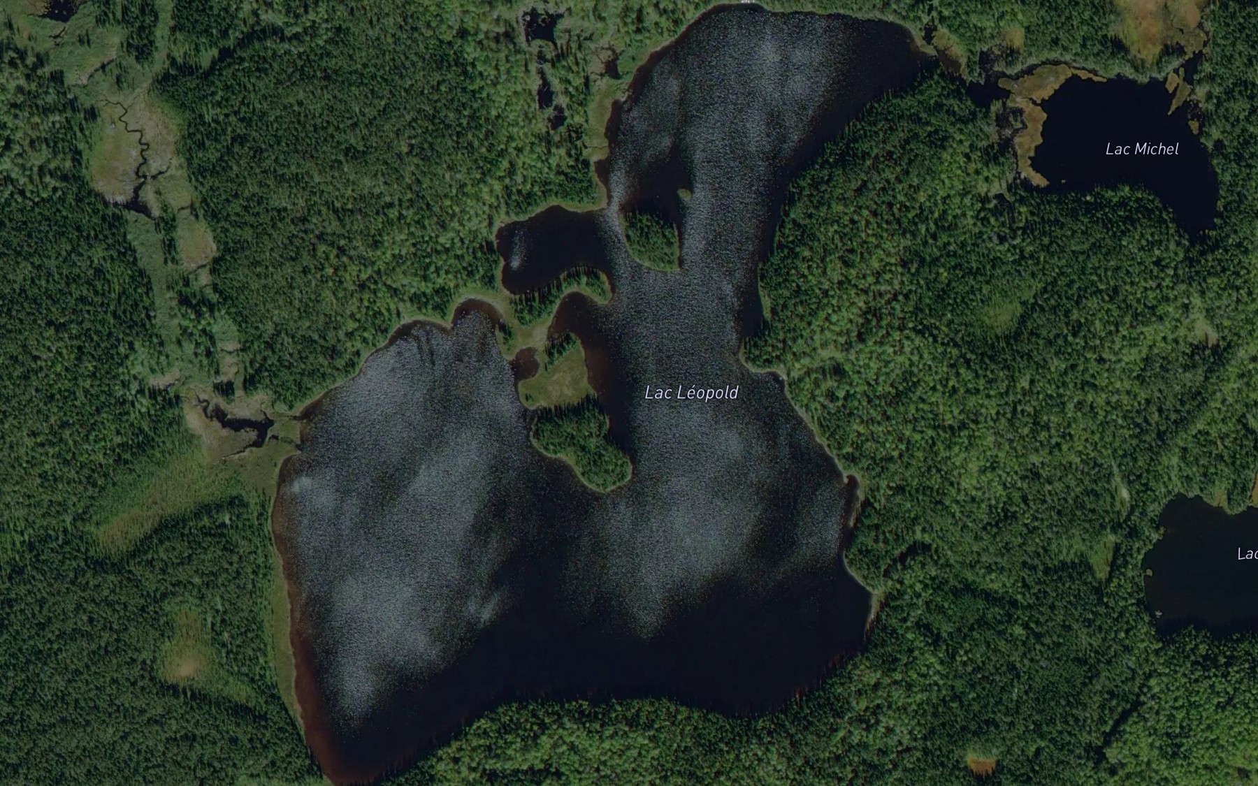 Satellite map of the Lac Leopold