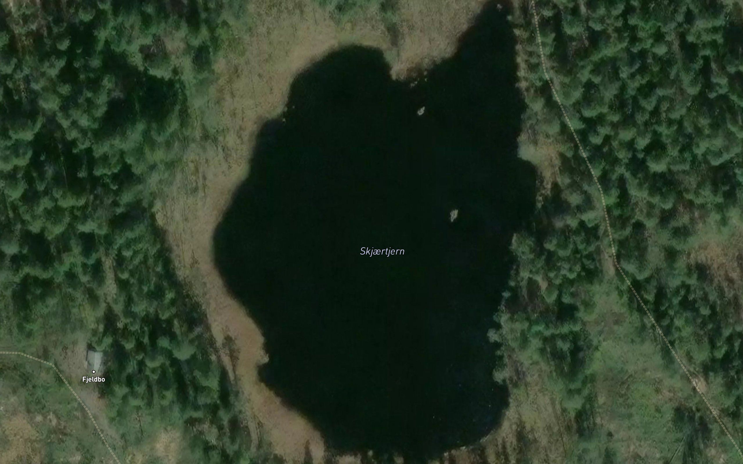Skjaertjern