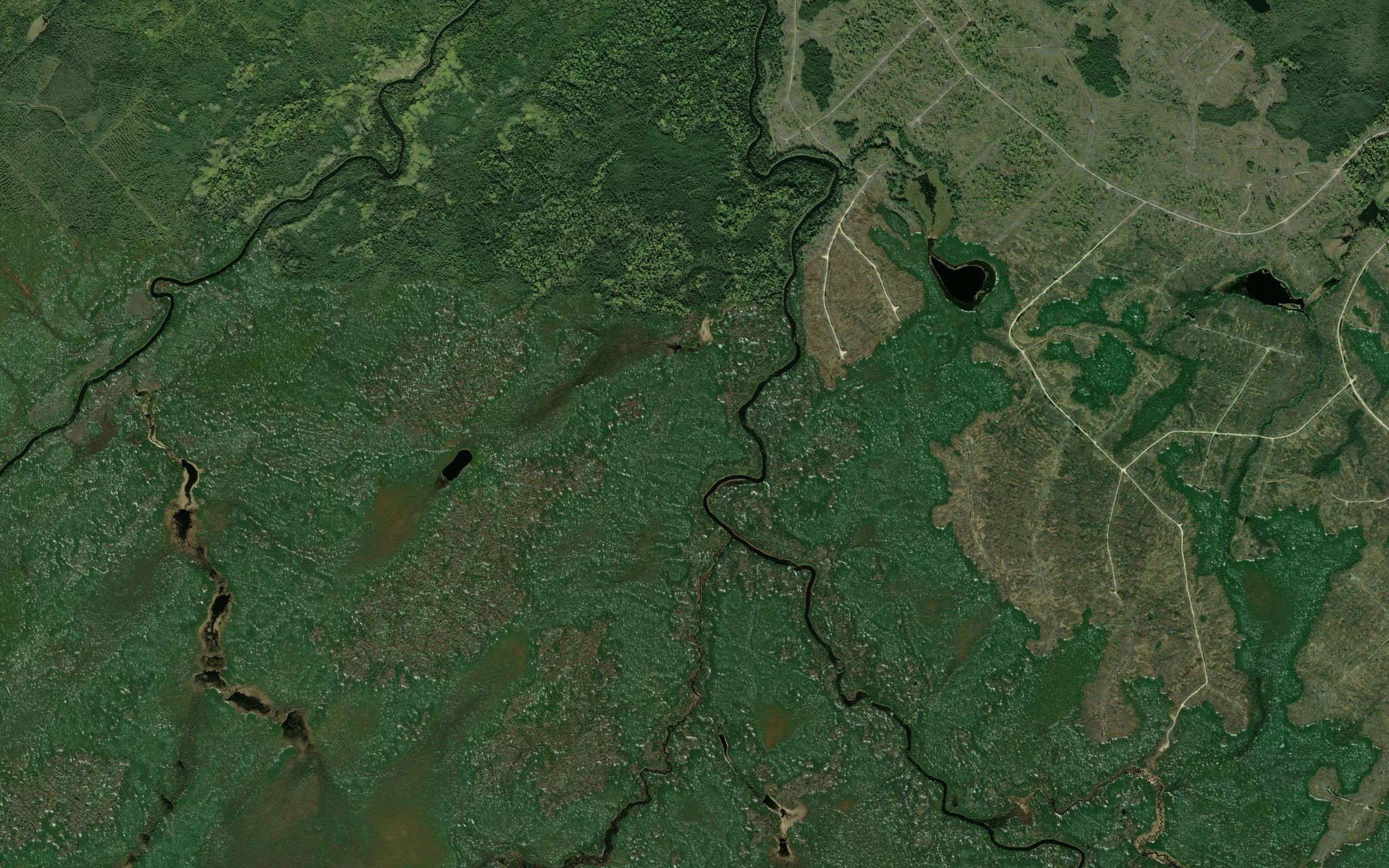 Kohler Creek