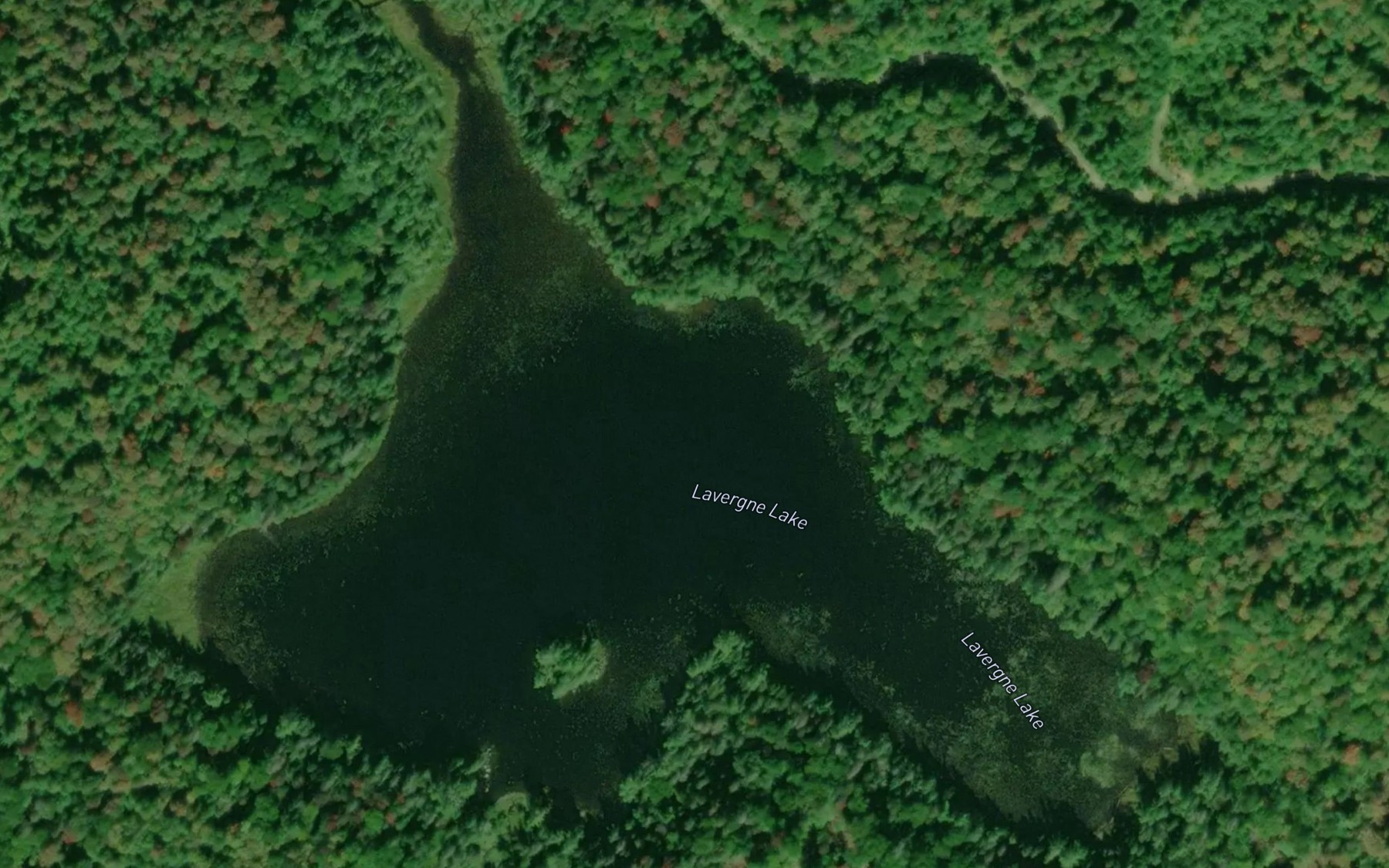Satellite map of the Lavergne Lake