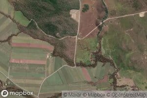 Reedy Creek