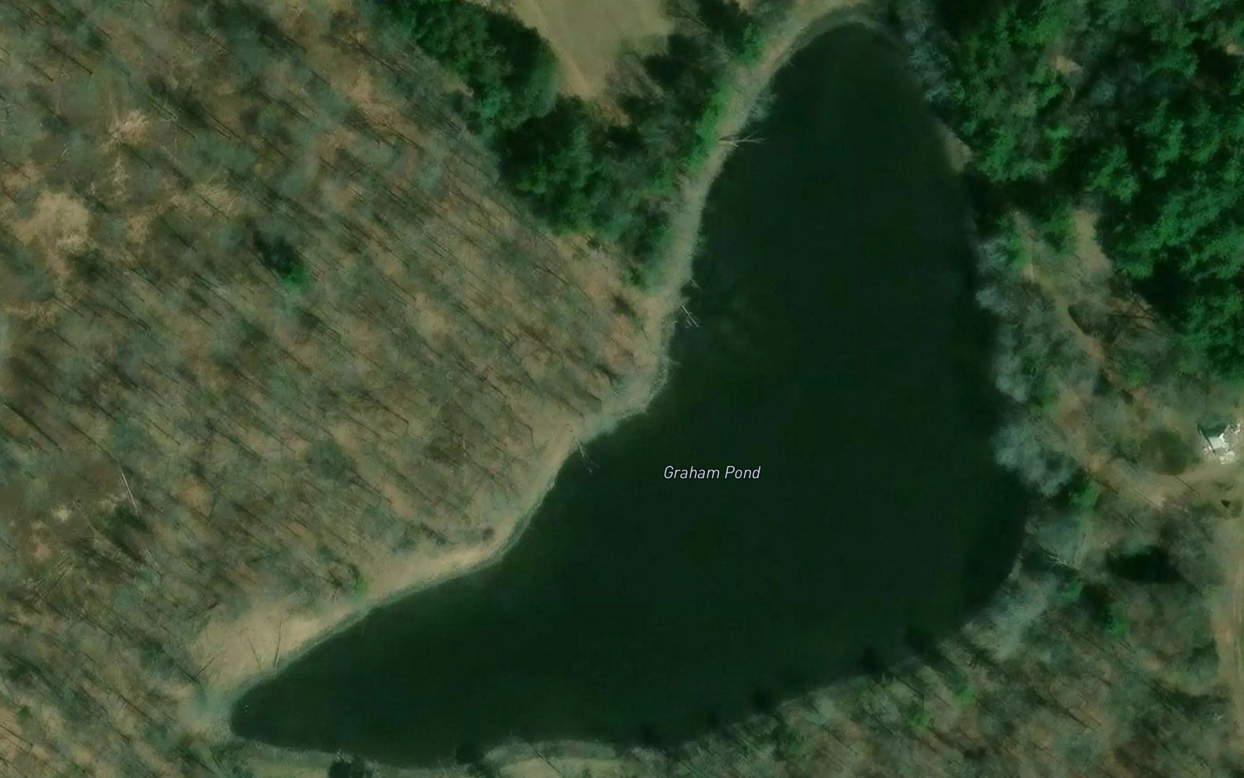 Graham Pond