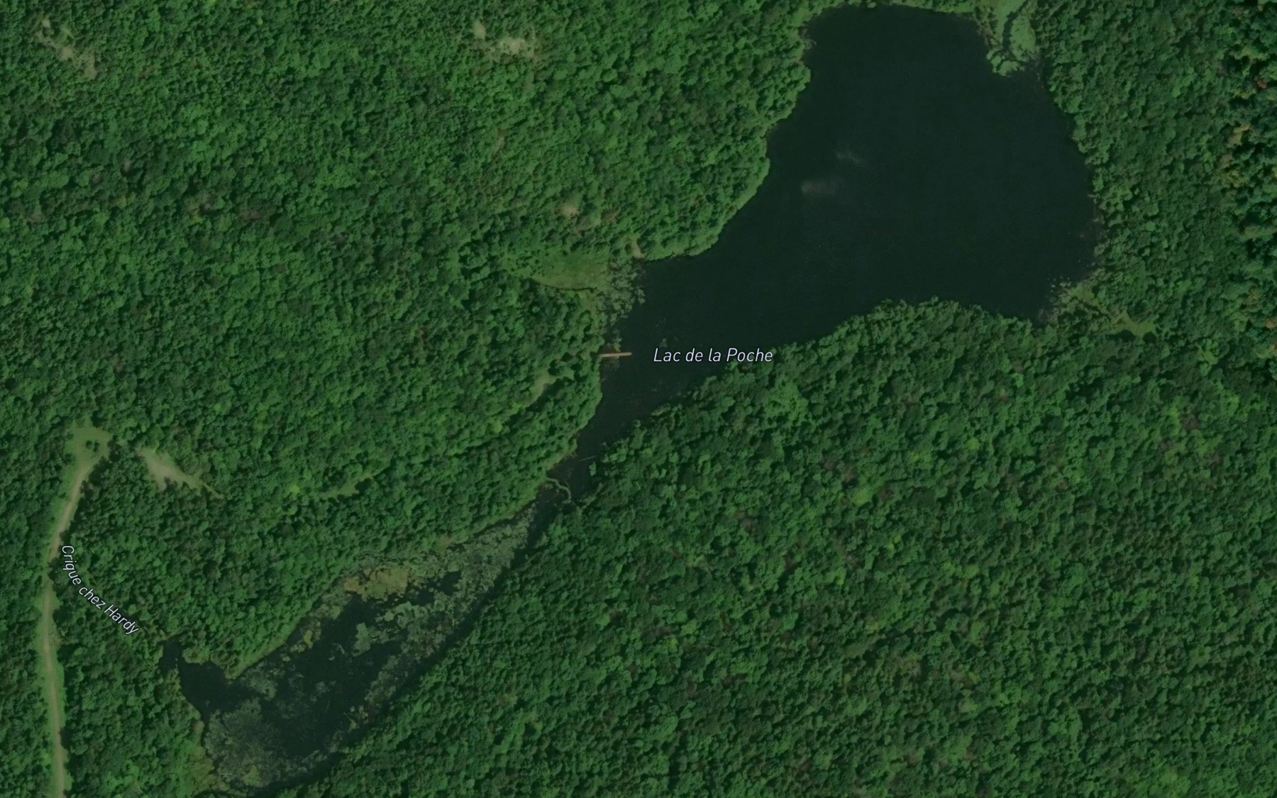 Satellite map of the Lac de la Poche