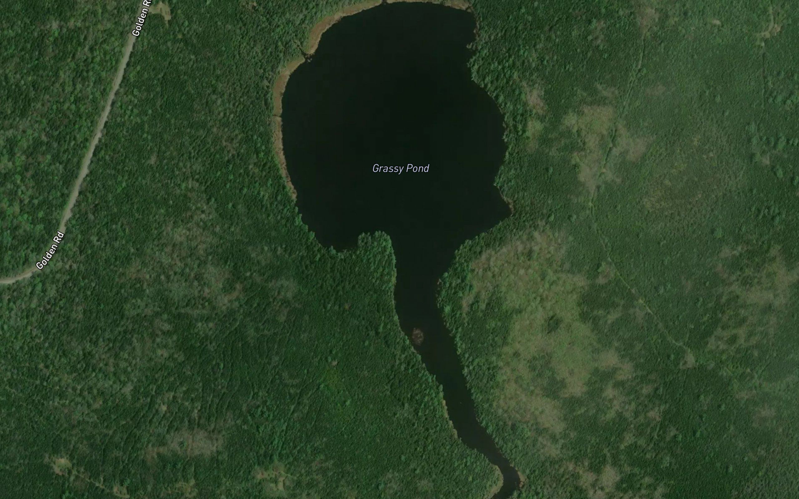 Grassy Pond