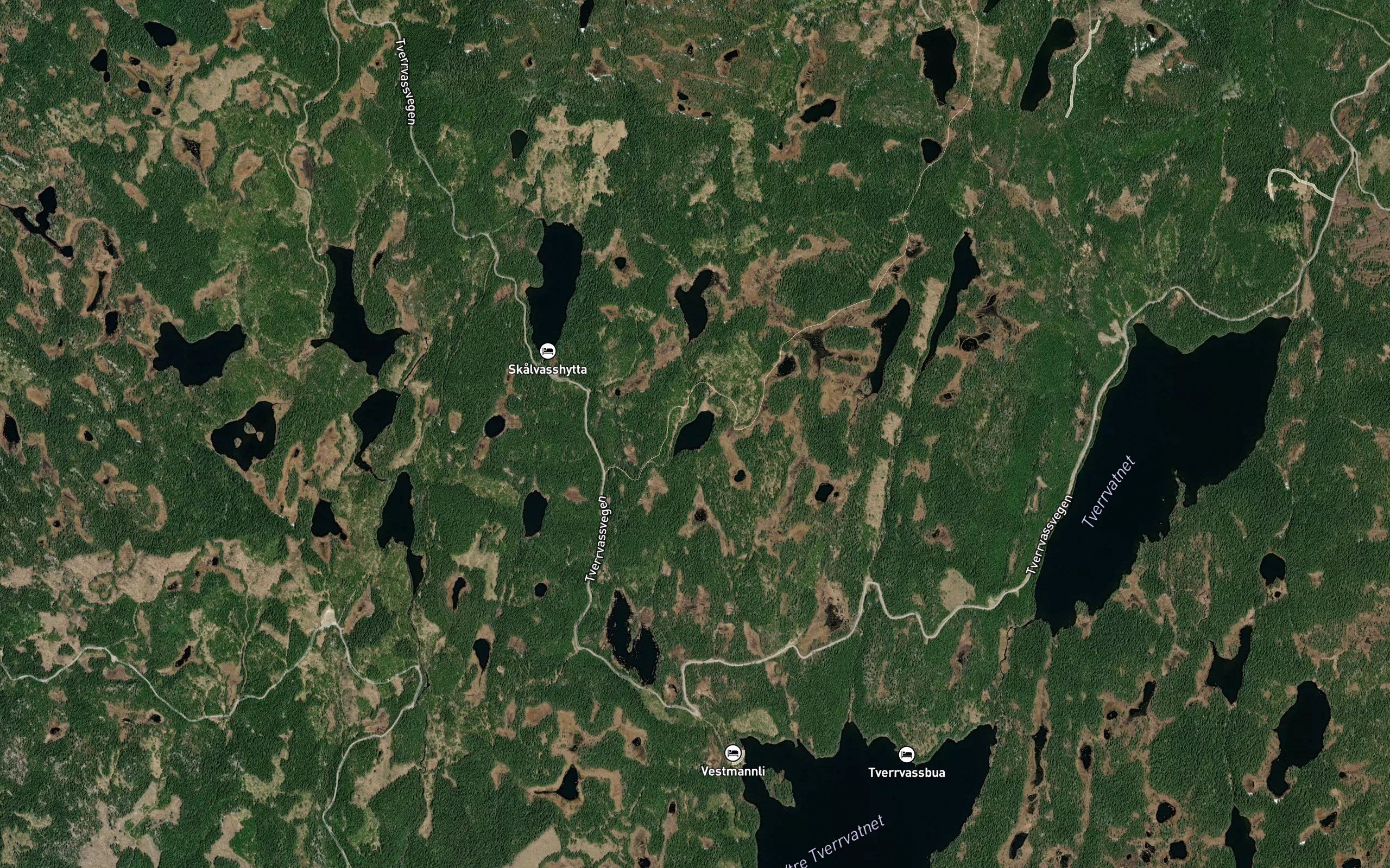Nedre Lauvlivatnet