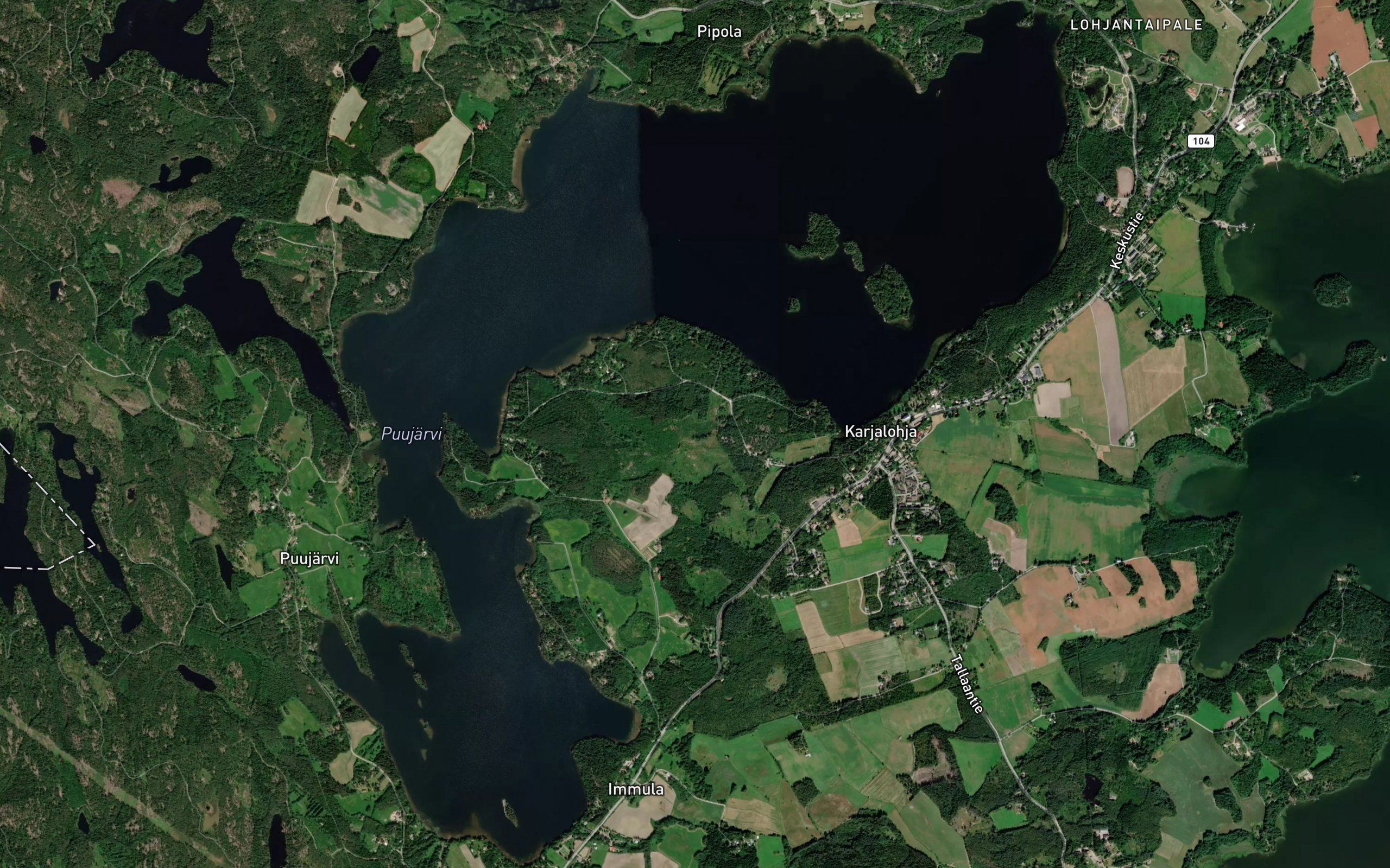 Puujarvi