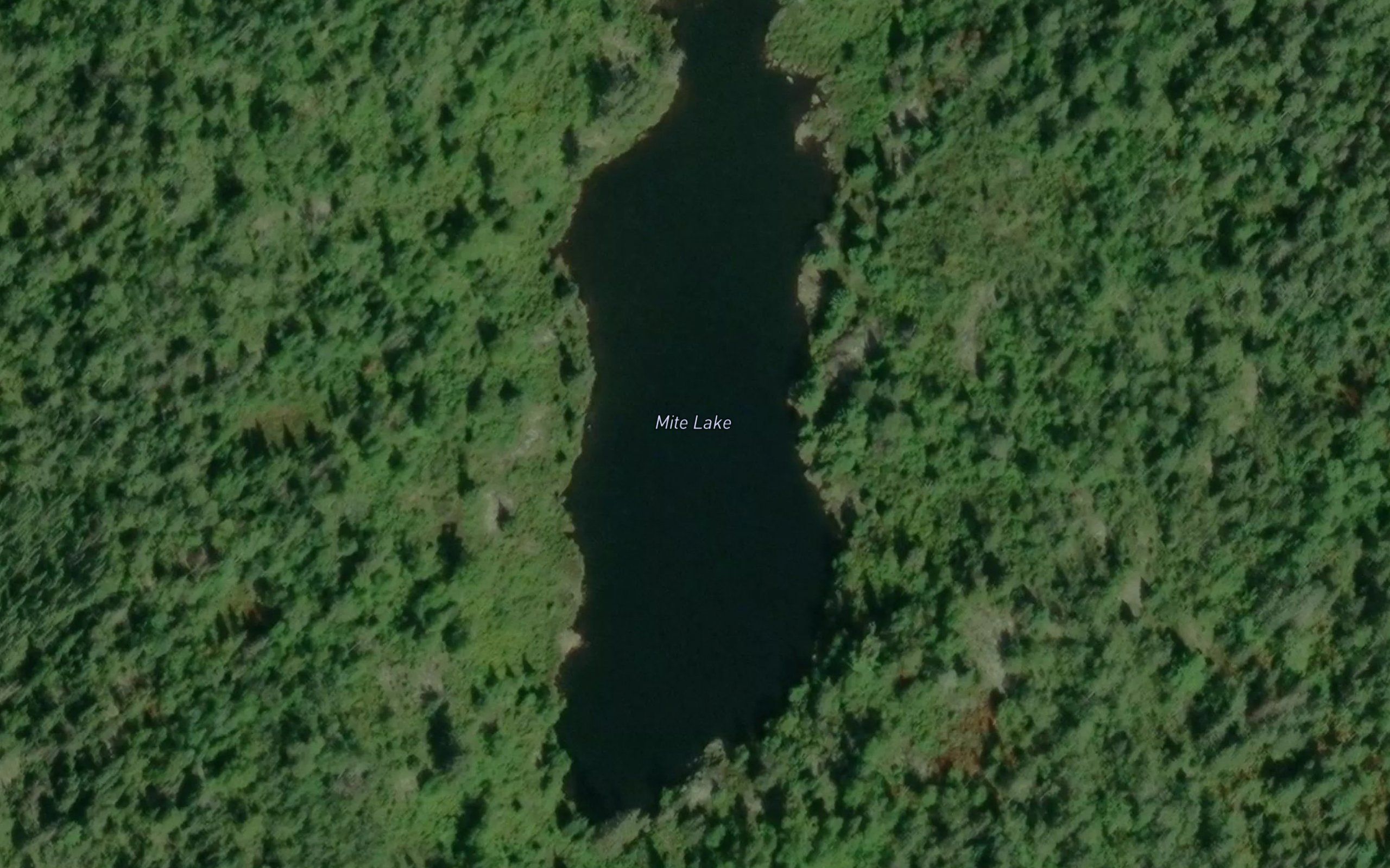 Mite Lake