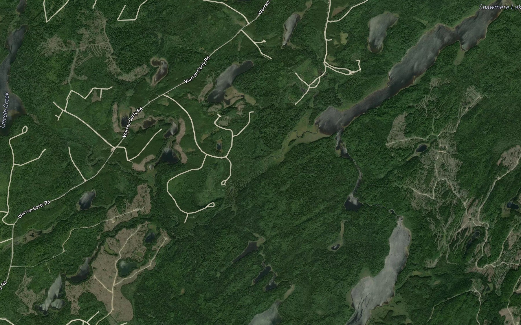 Satellite map of the Lincoln Creek