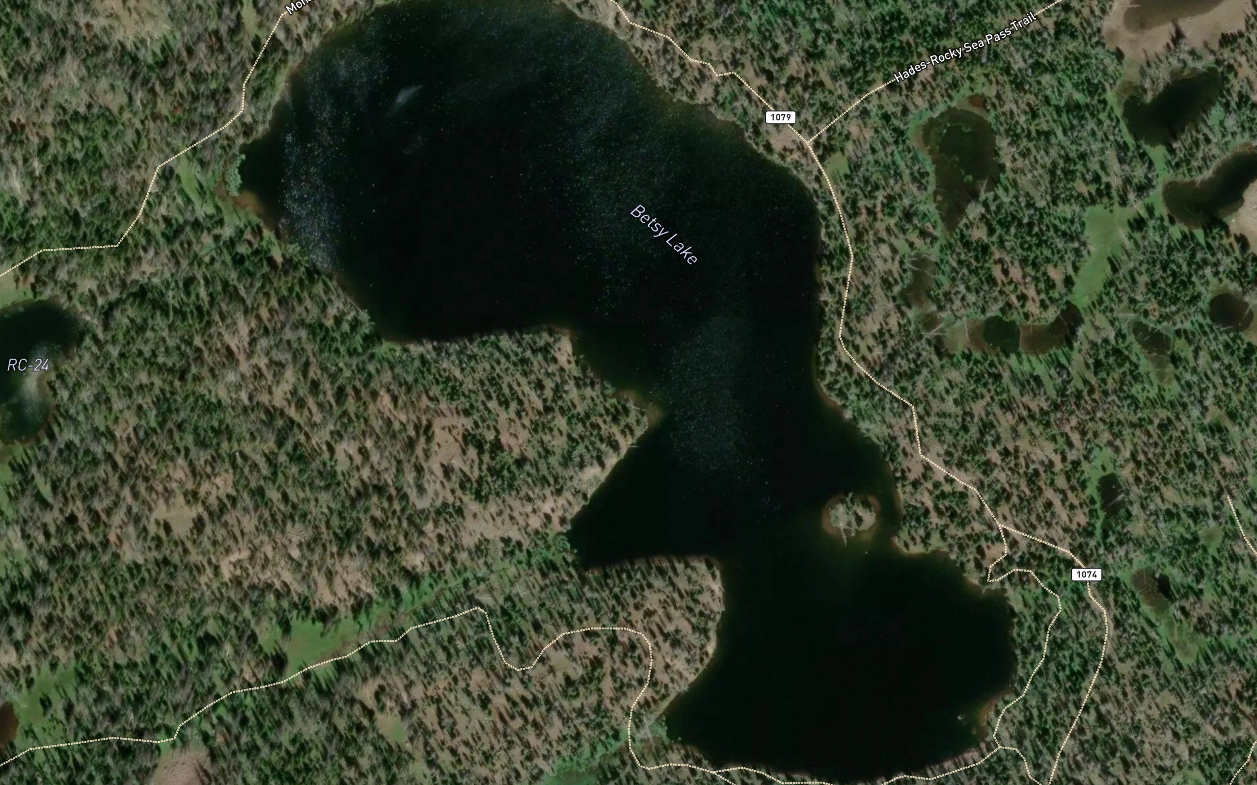 Betsy Lake