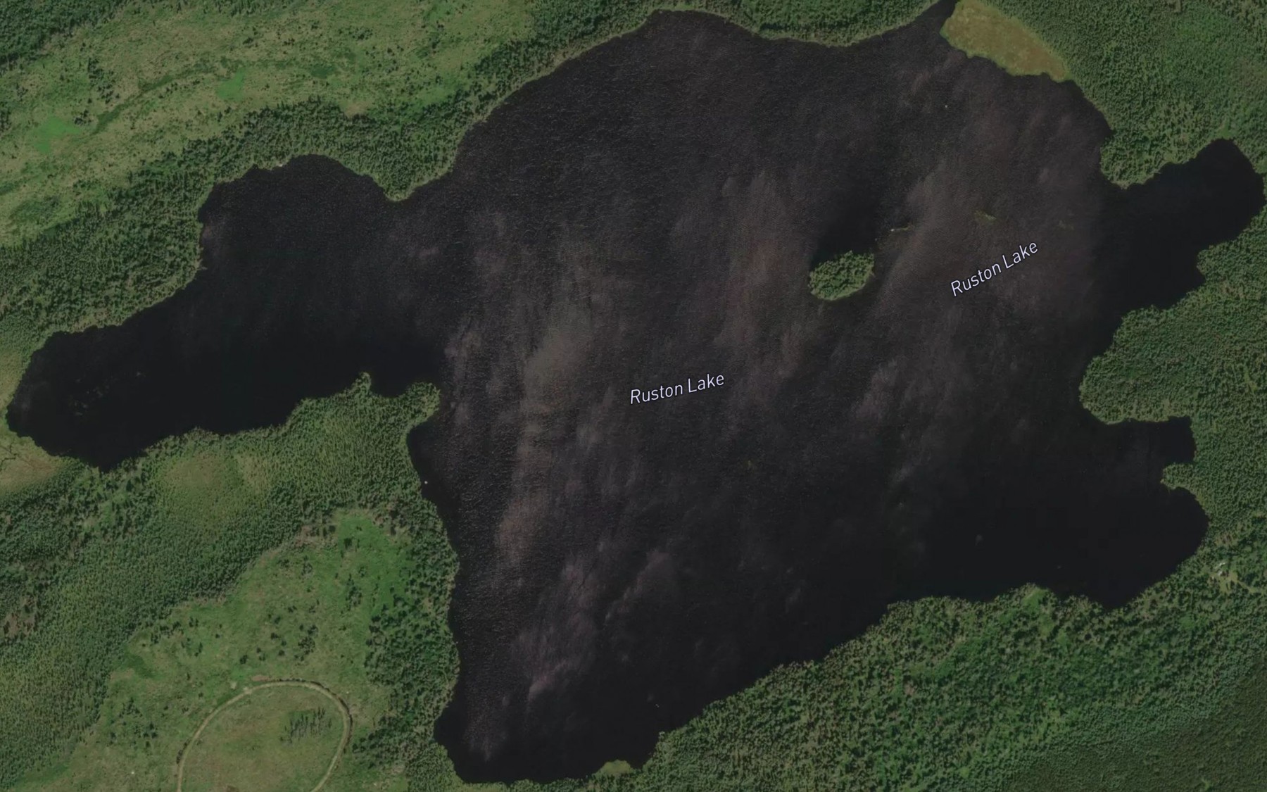 Satellite map of the Ruston Lake