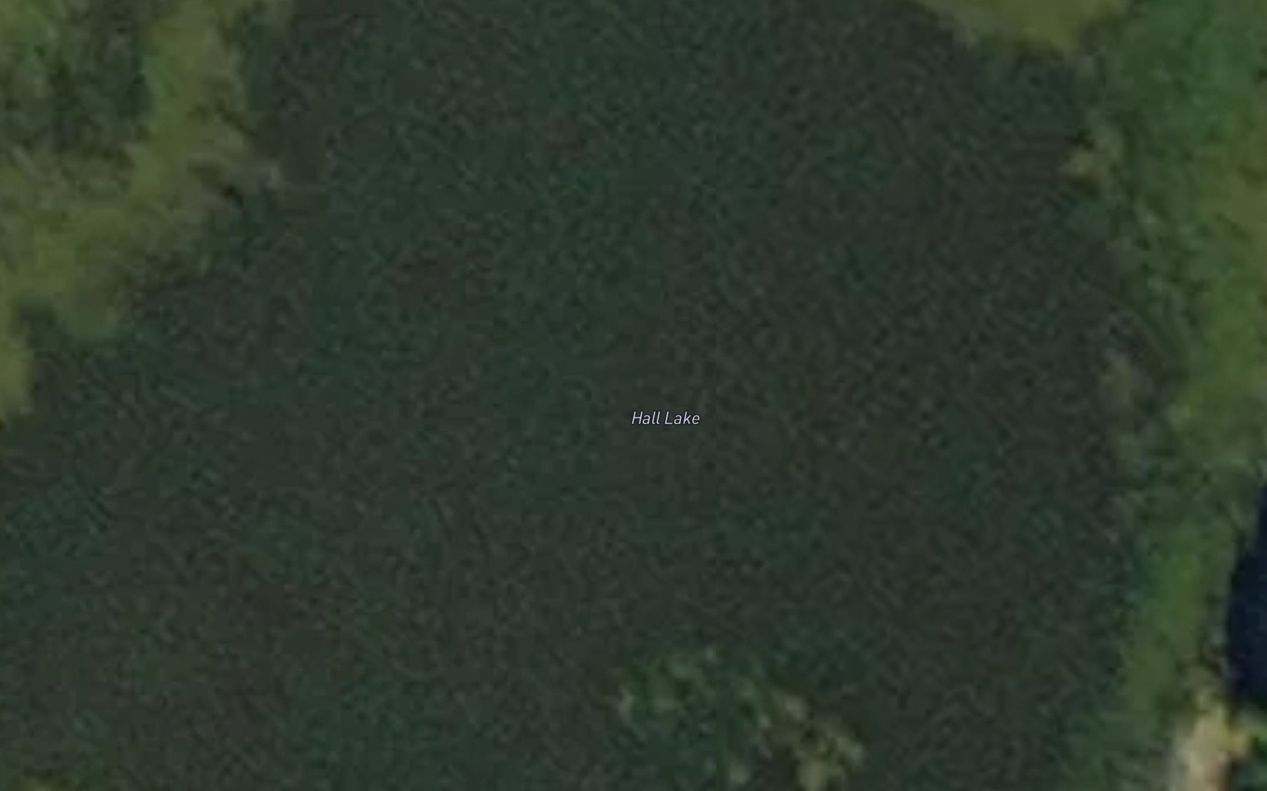 Satellite map of the Hall Lake