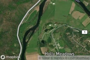Holly Meadows