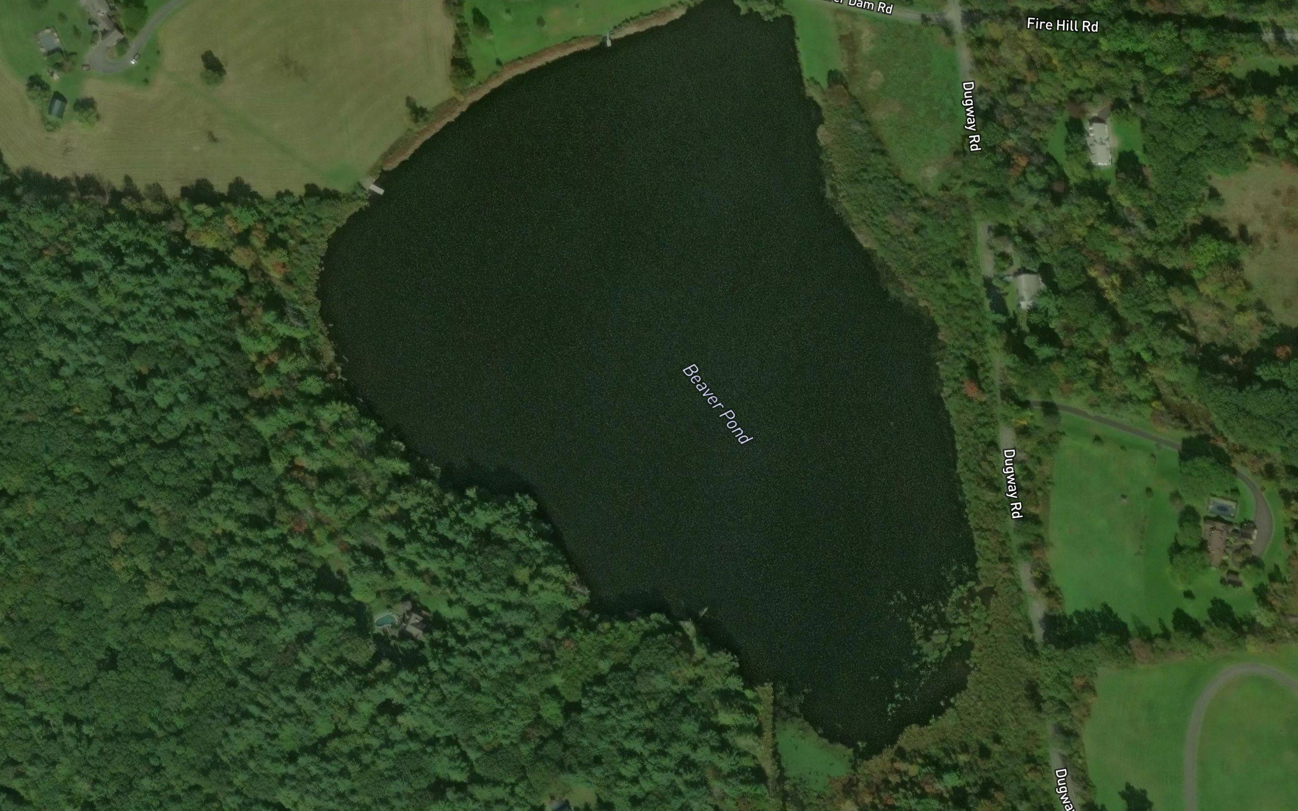 Beaver Pond