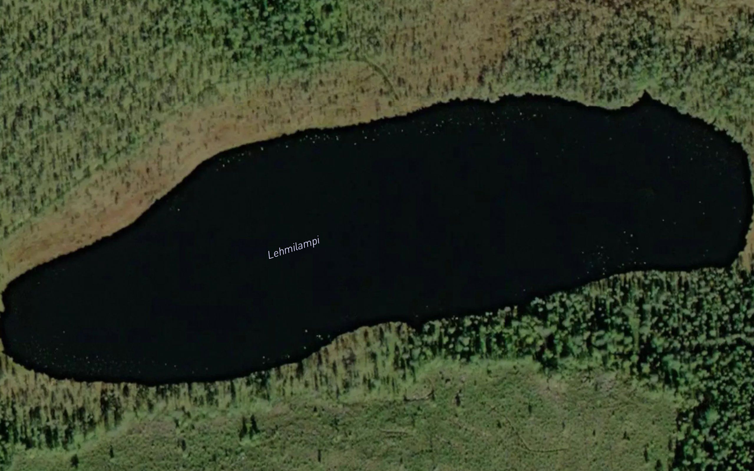 Lehmilampi