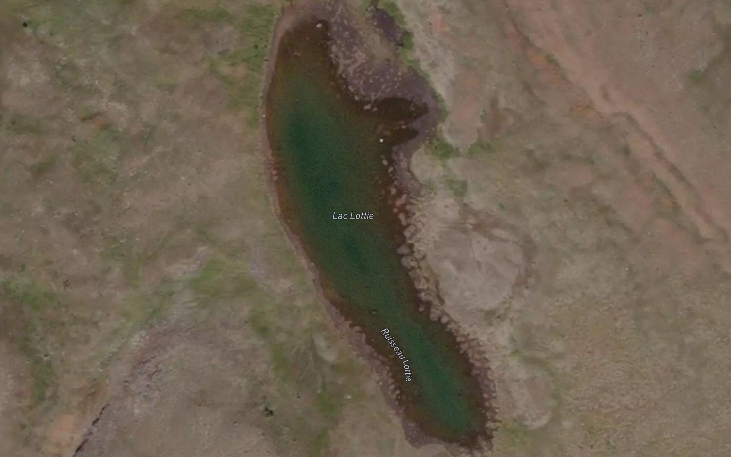 Lac Lottie