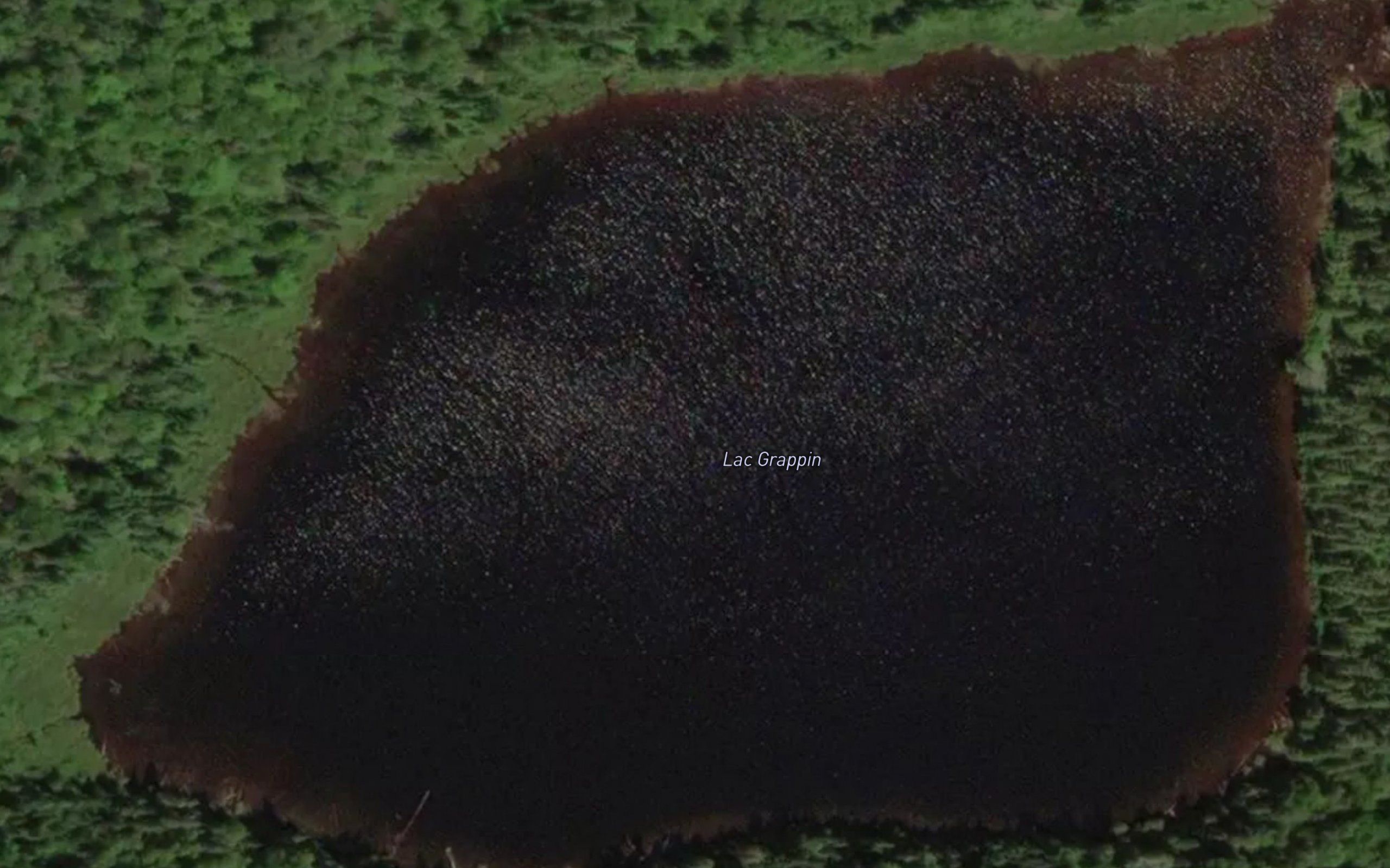 Lac Grappin