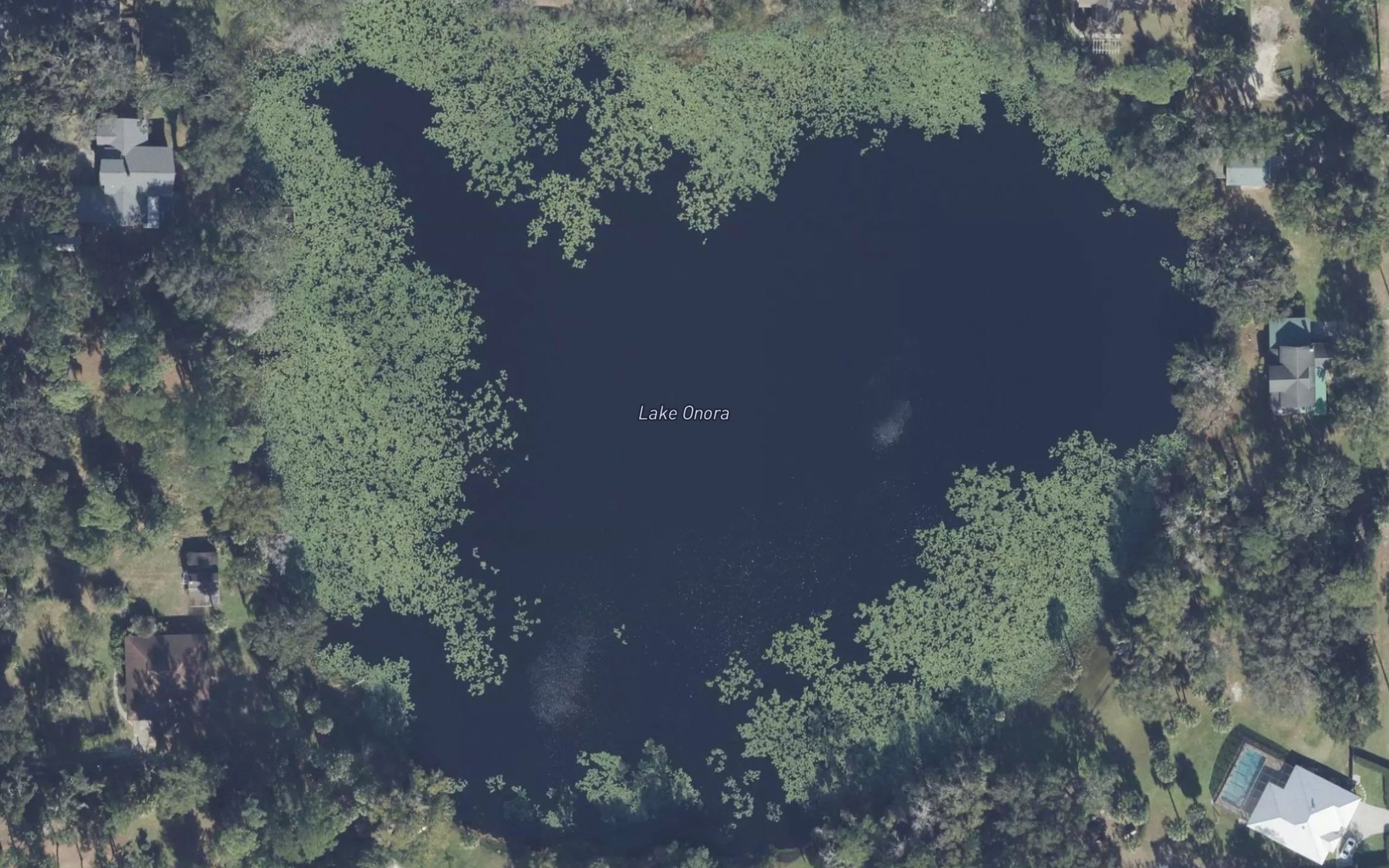 Satellite map of the Lake Onora