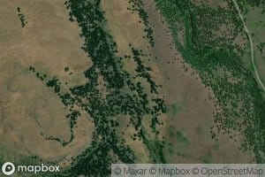 Little Graves Creek
