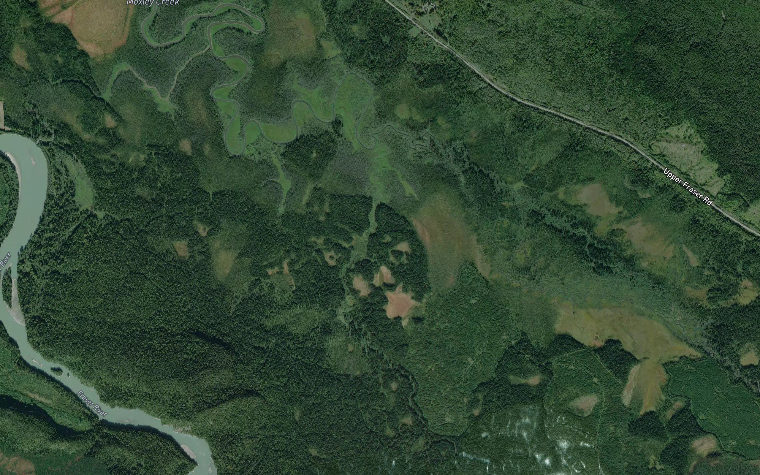 Wolfe Creek