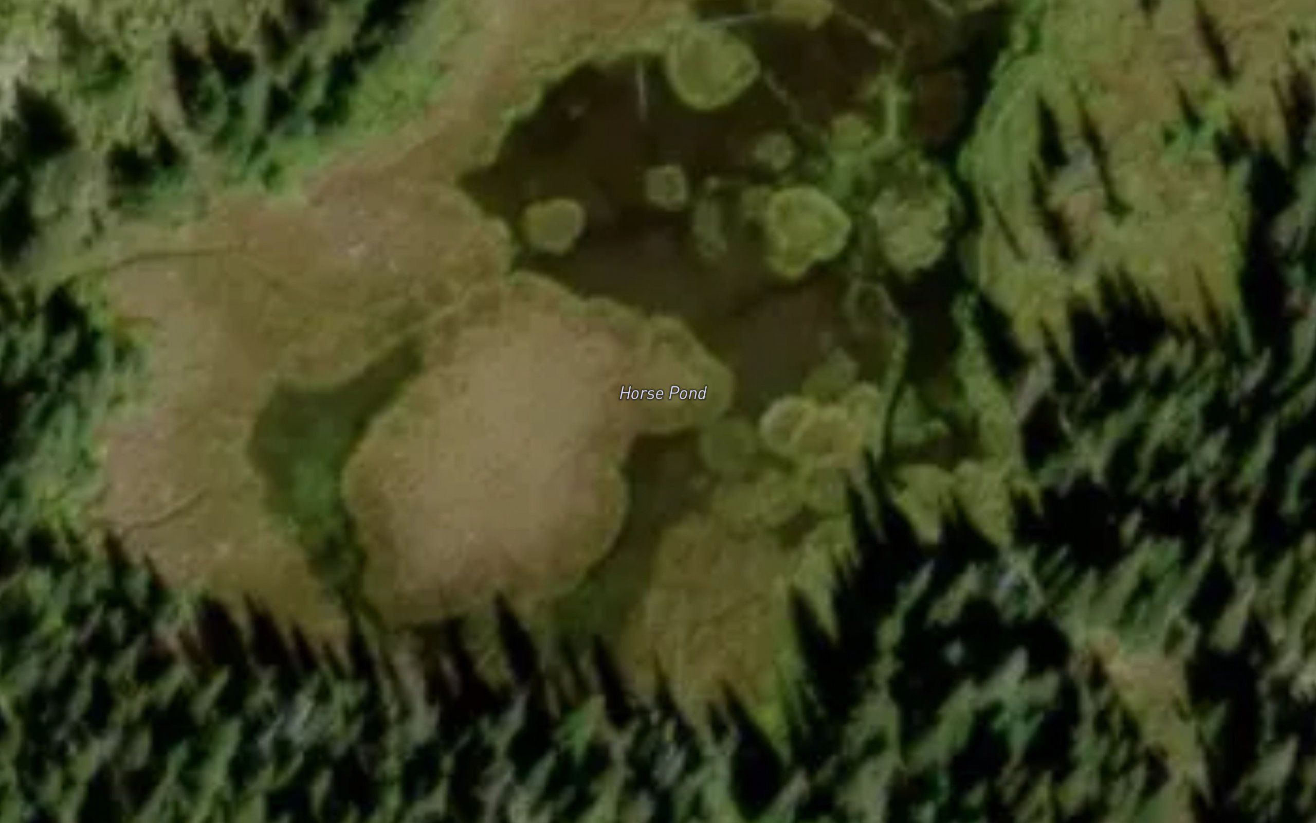 Horse Pond