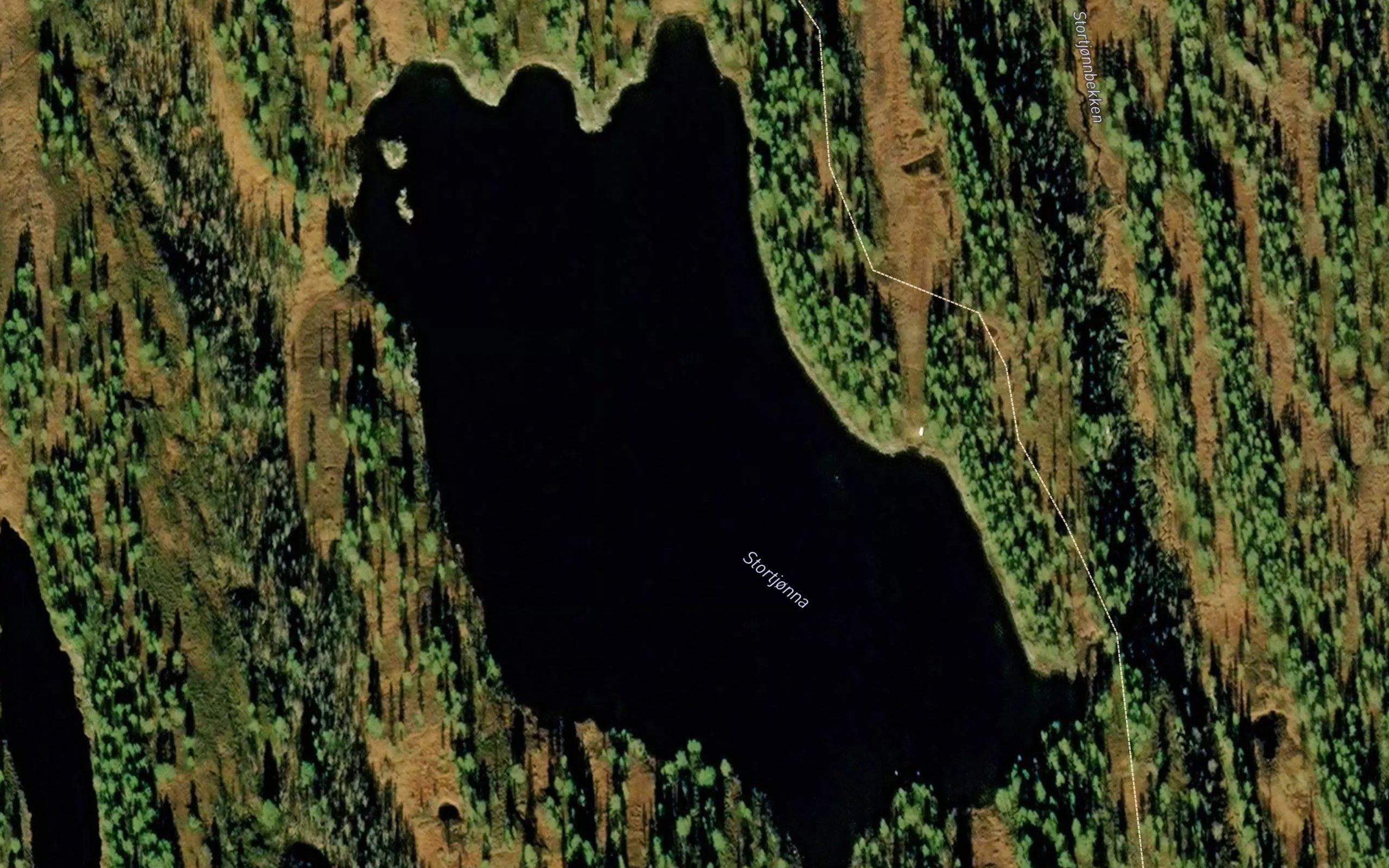 Stortjorna