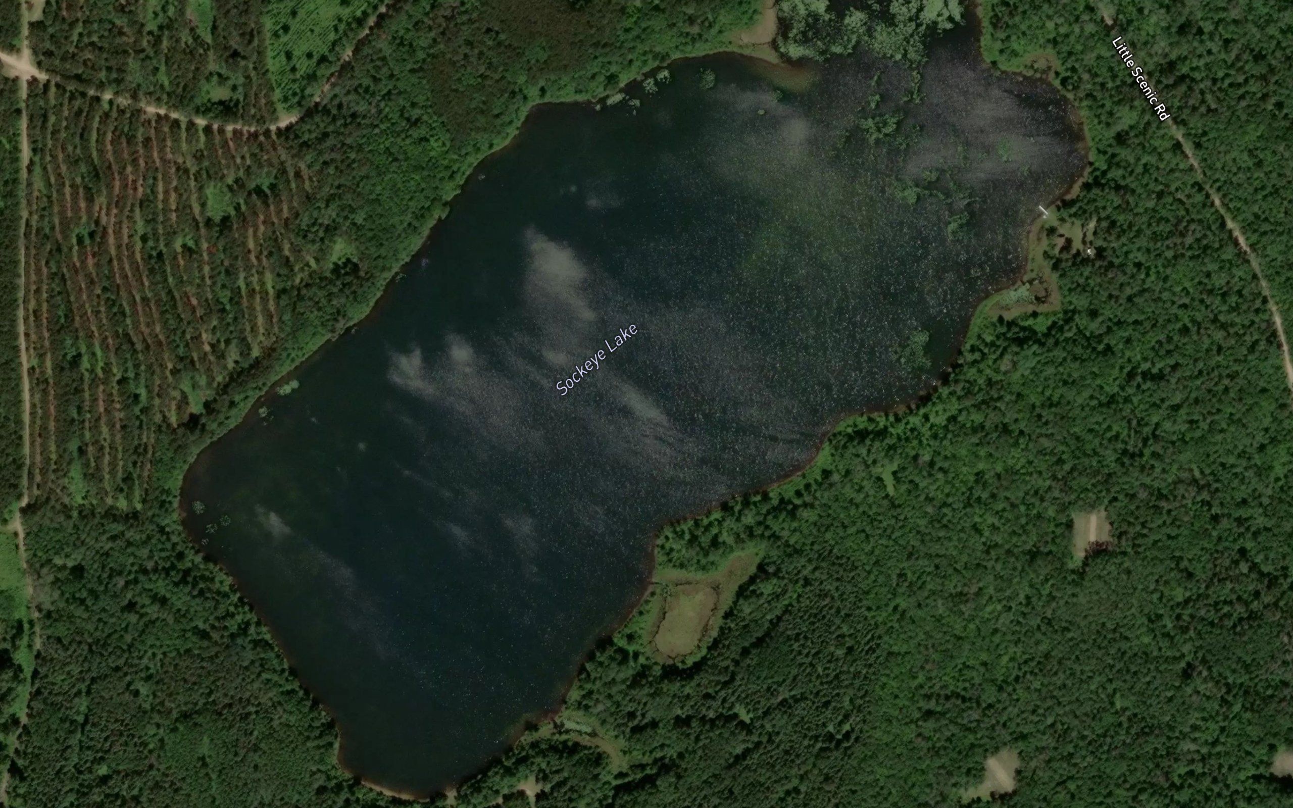 Sockeye Lake