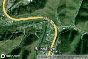Betsy Layne Branch