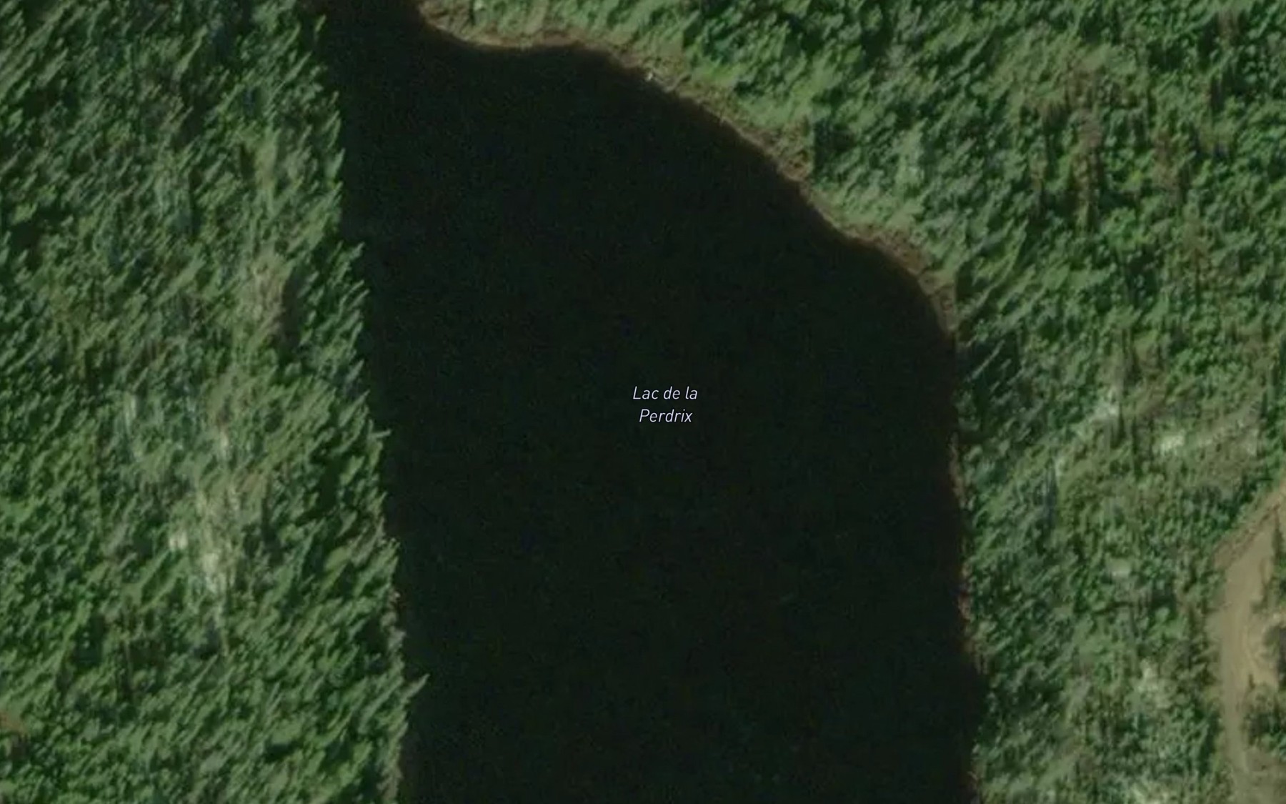 Satellite map of the Lac de la Perdrix