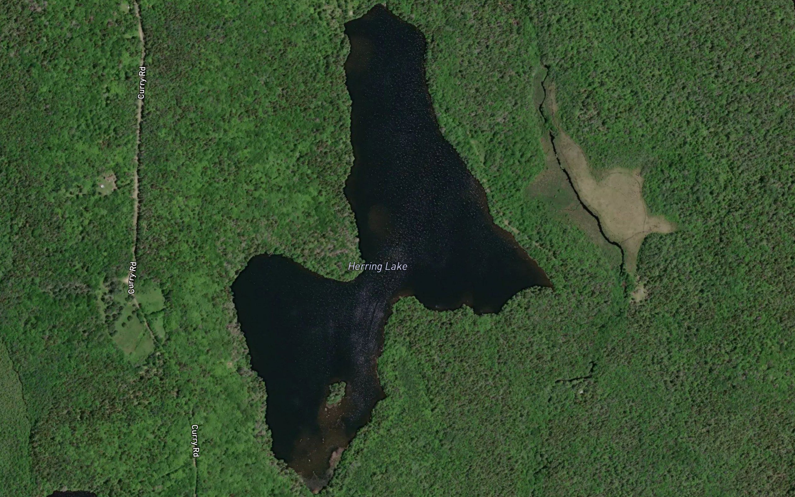 Herring Lake
