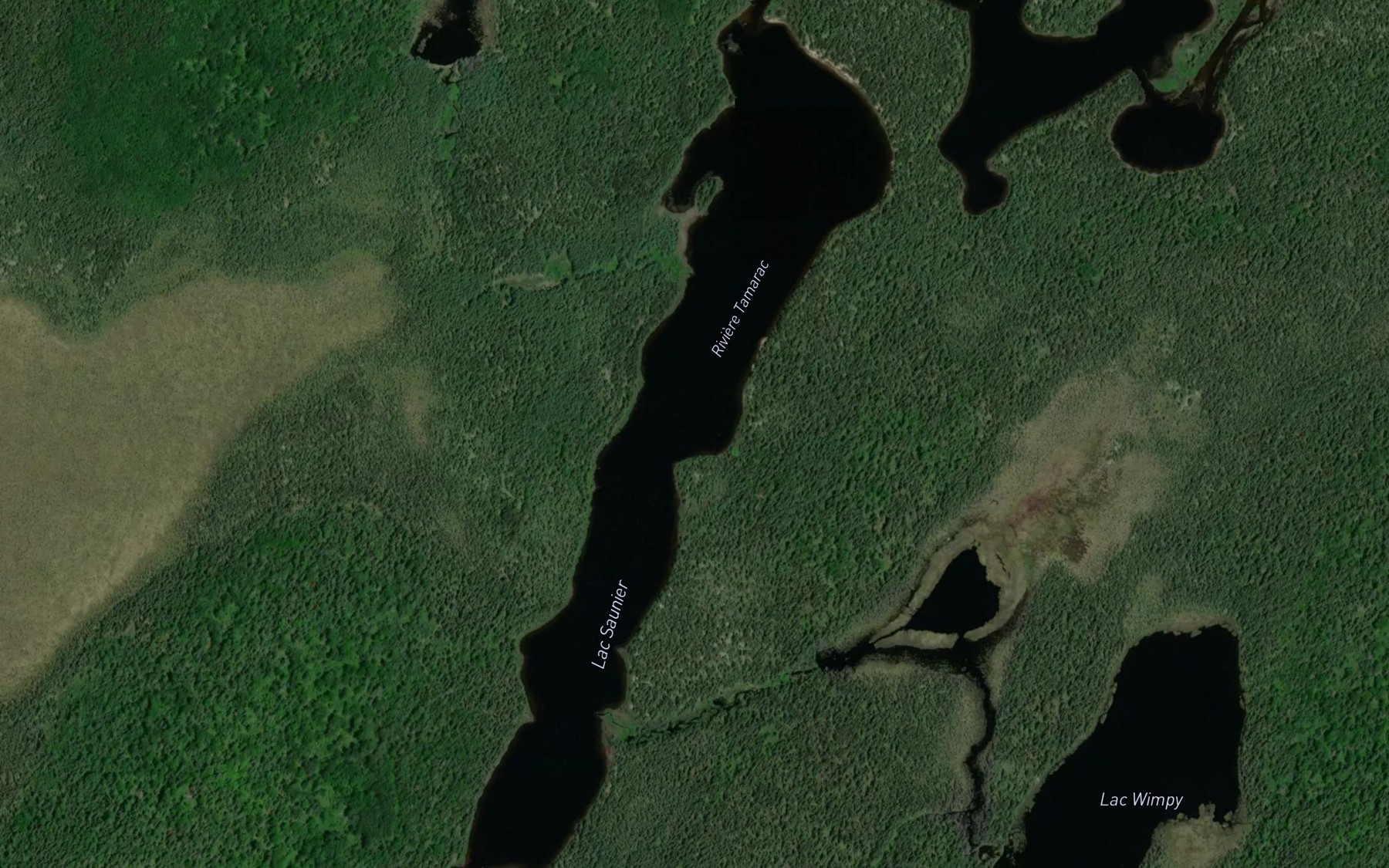 Satellite map of the Lac Saunier
