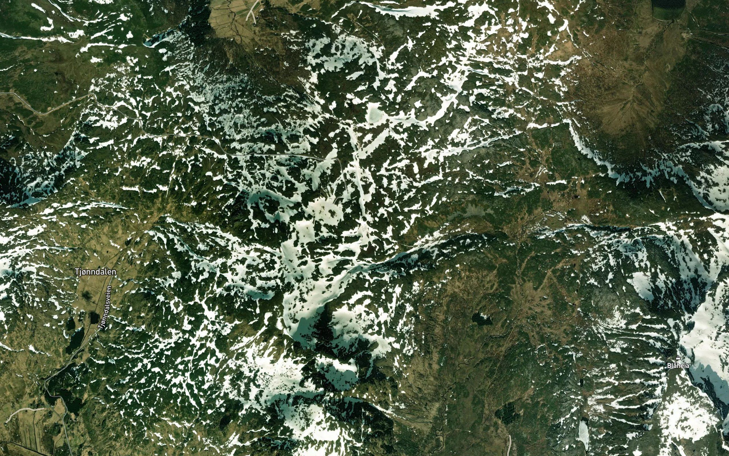 Palvatnet